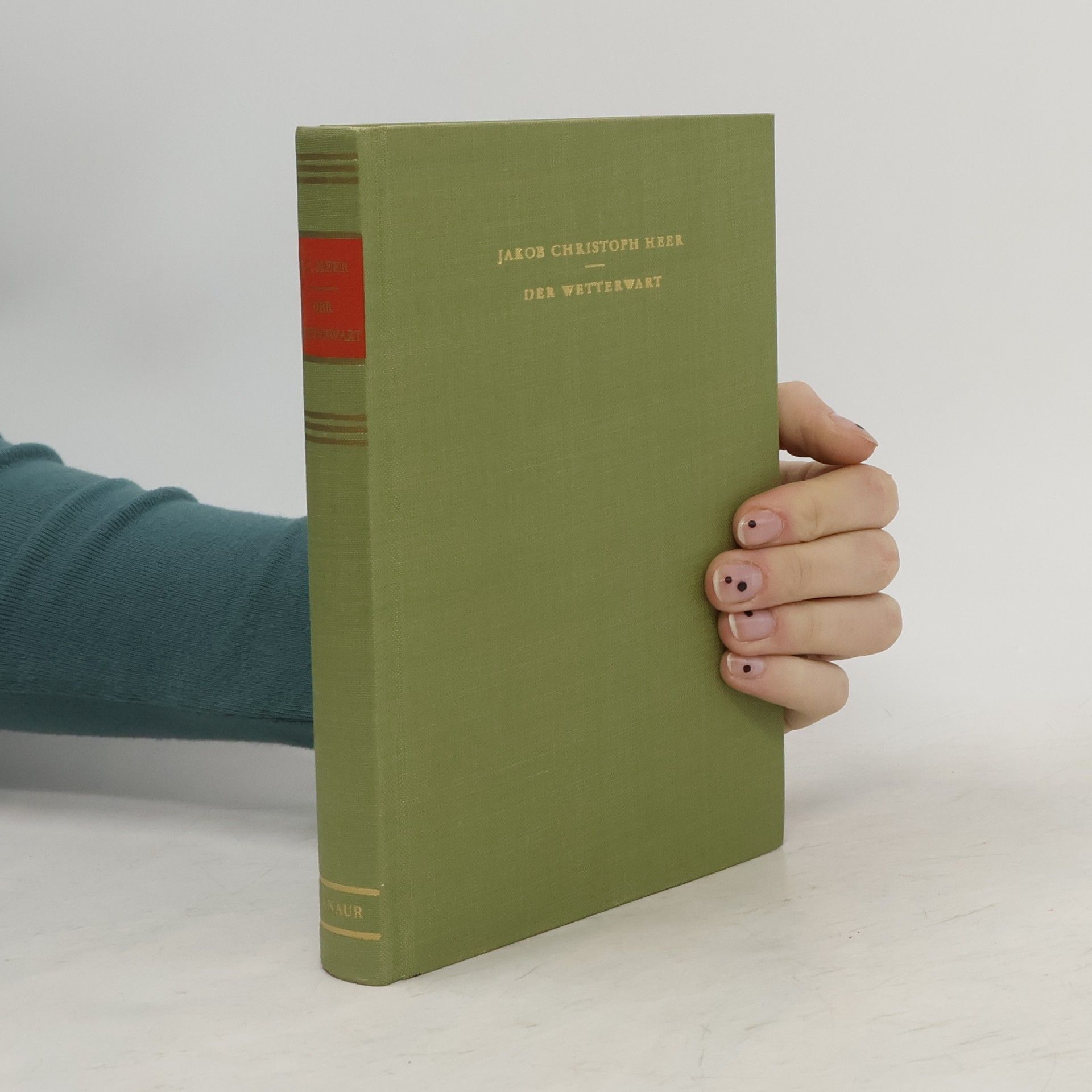 Jakob Christoph Heer Der Wetterwart