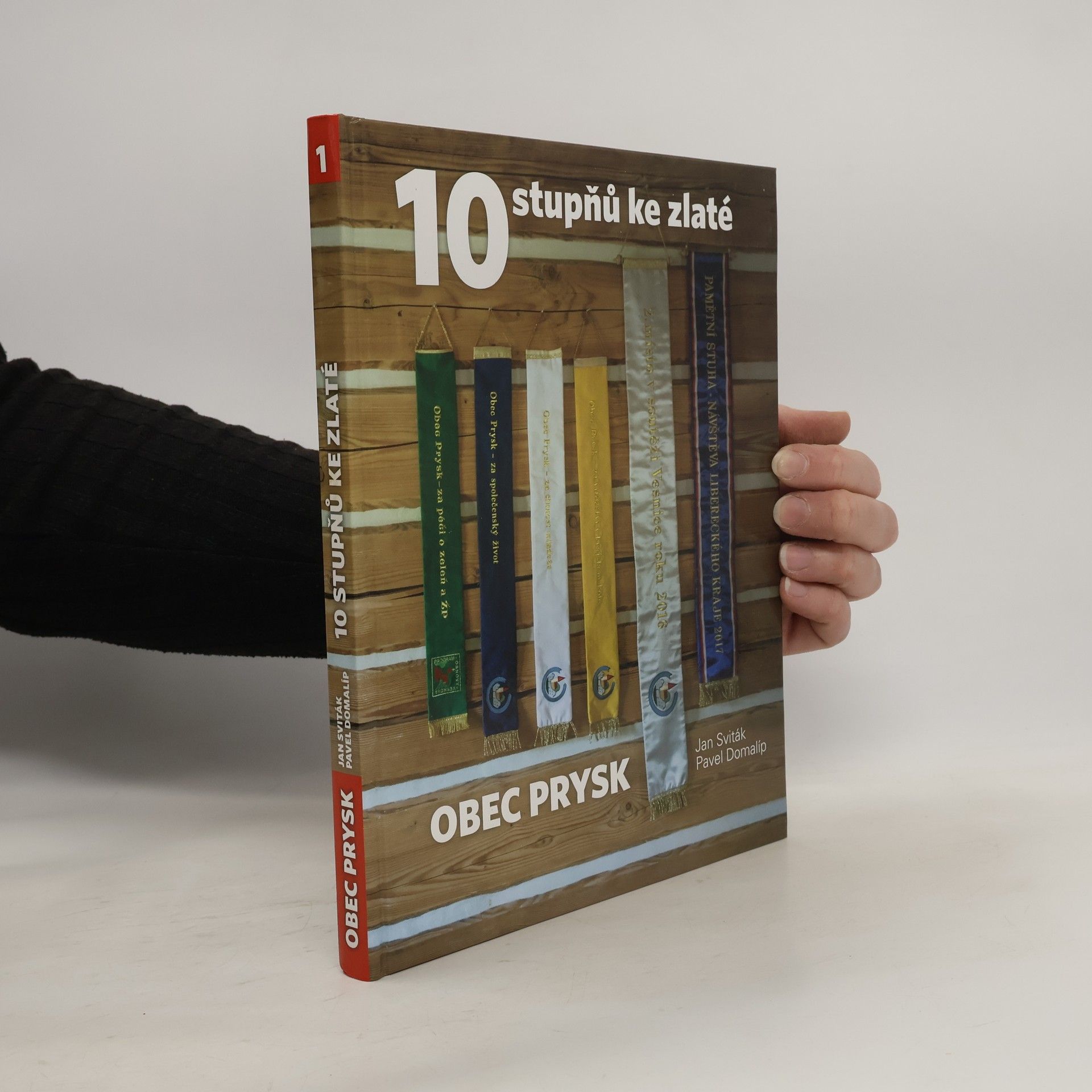 Kolektiv autorů 10 stupňů ke zlaté