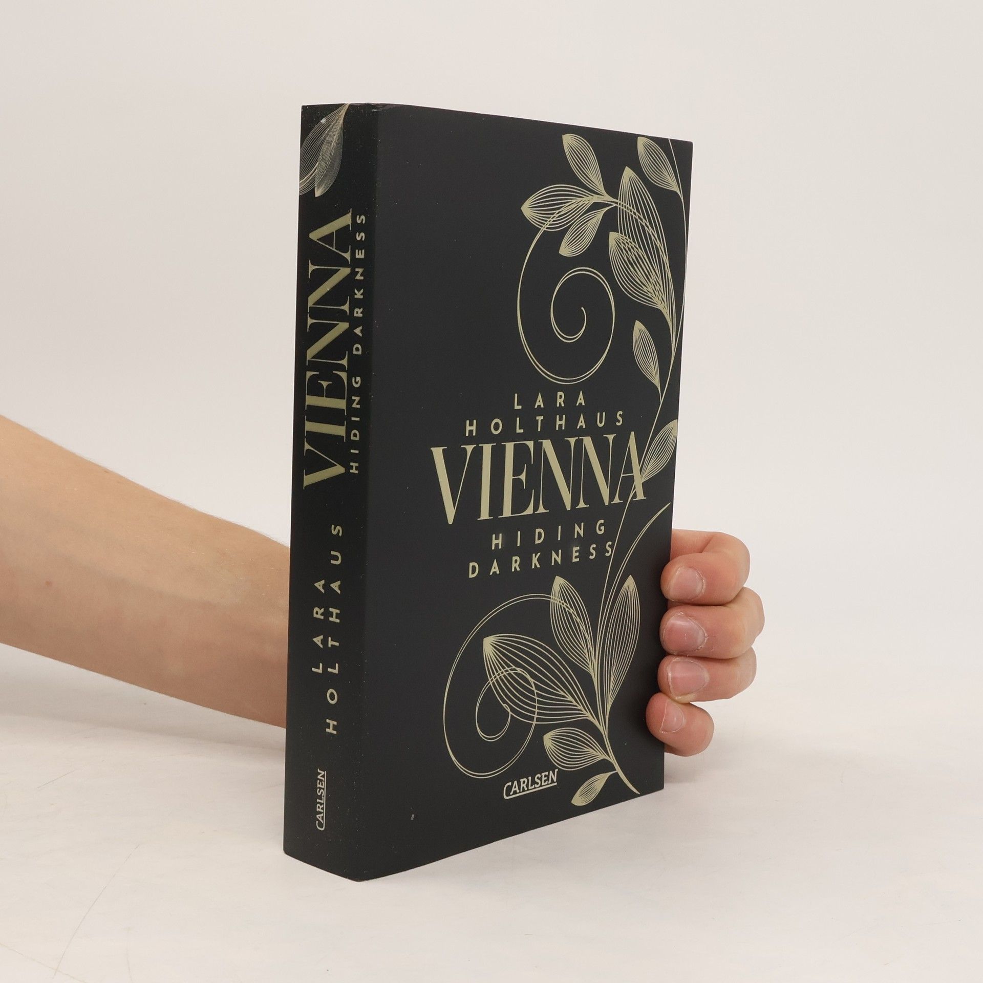Lara Holthaus Hiding Darkness / Vienna Bd.2