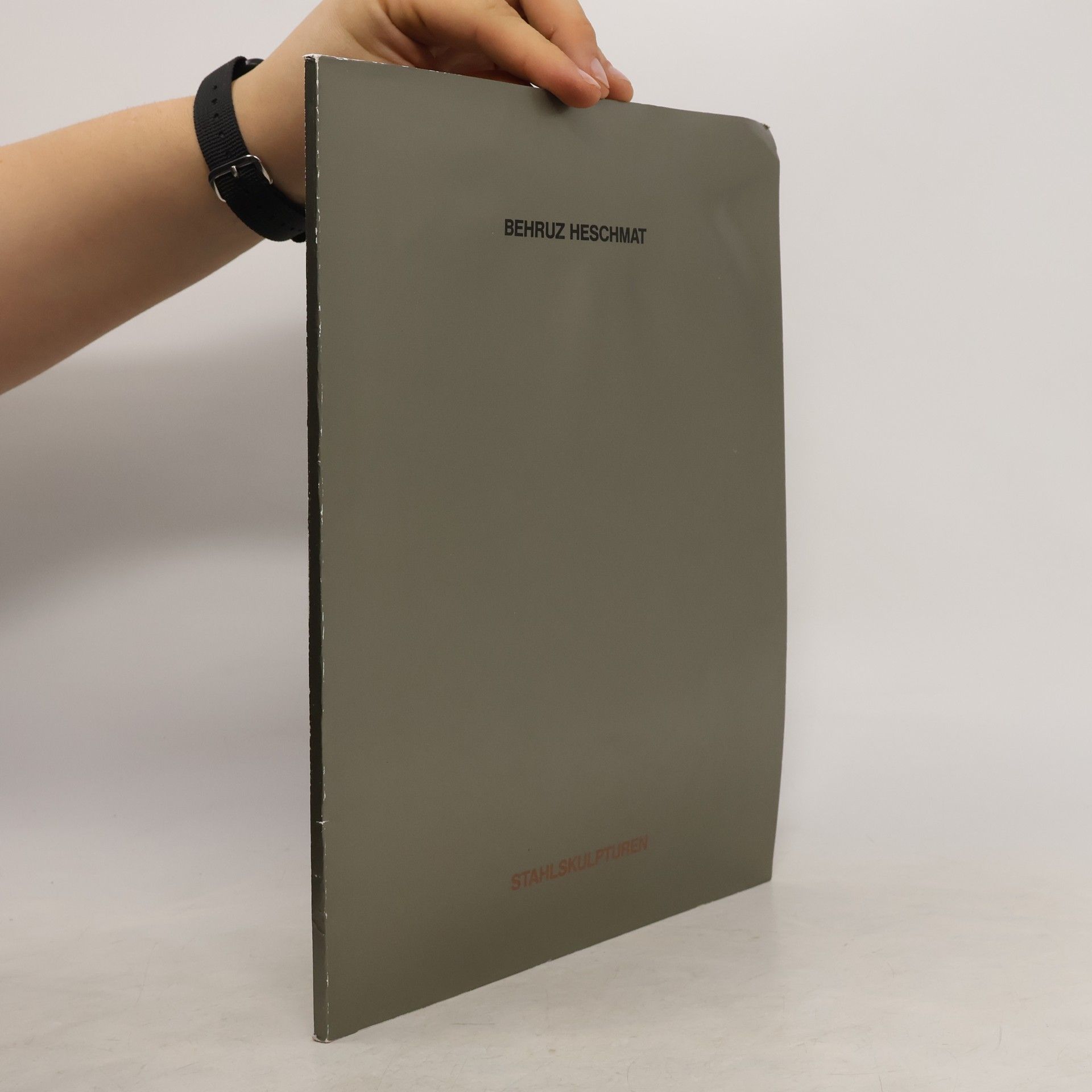 Behruz Heschmat Stahlskulpturen