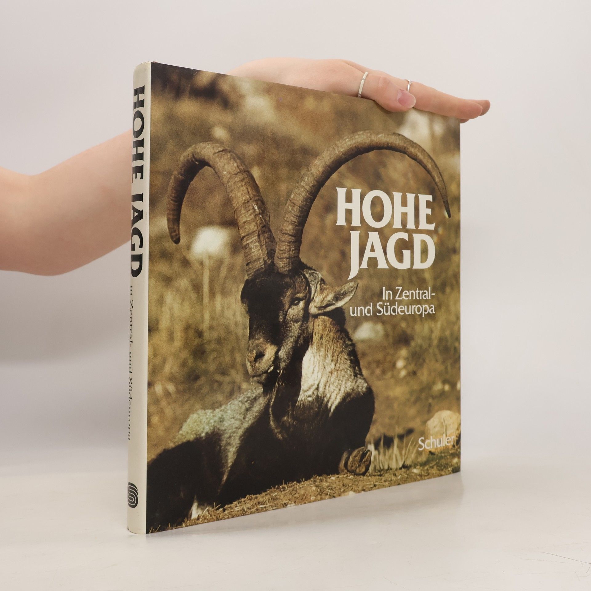 Antonio Días de los Reyes Hohe Jagd in Zentral- und Südeuropa