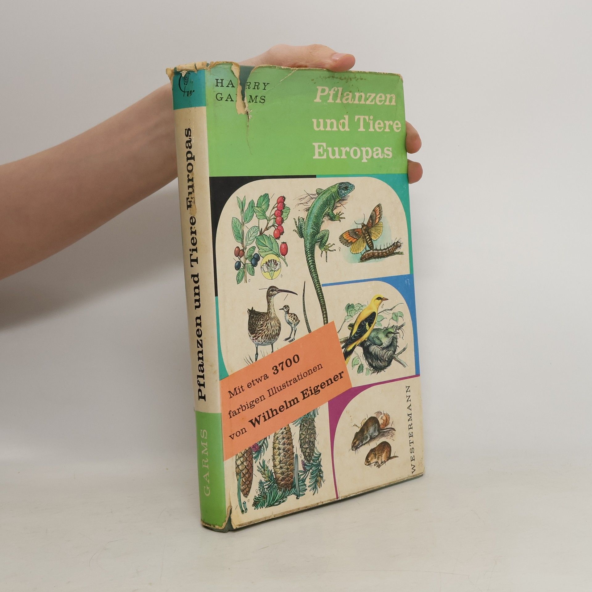 Autorenkollektiv Pflanzen und Tiere Europas