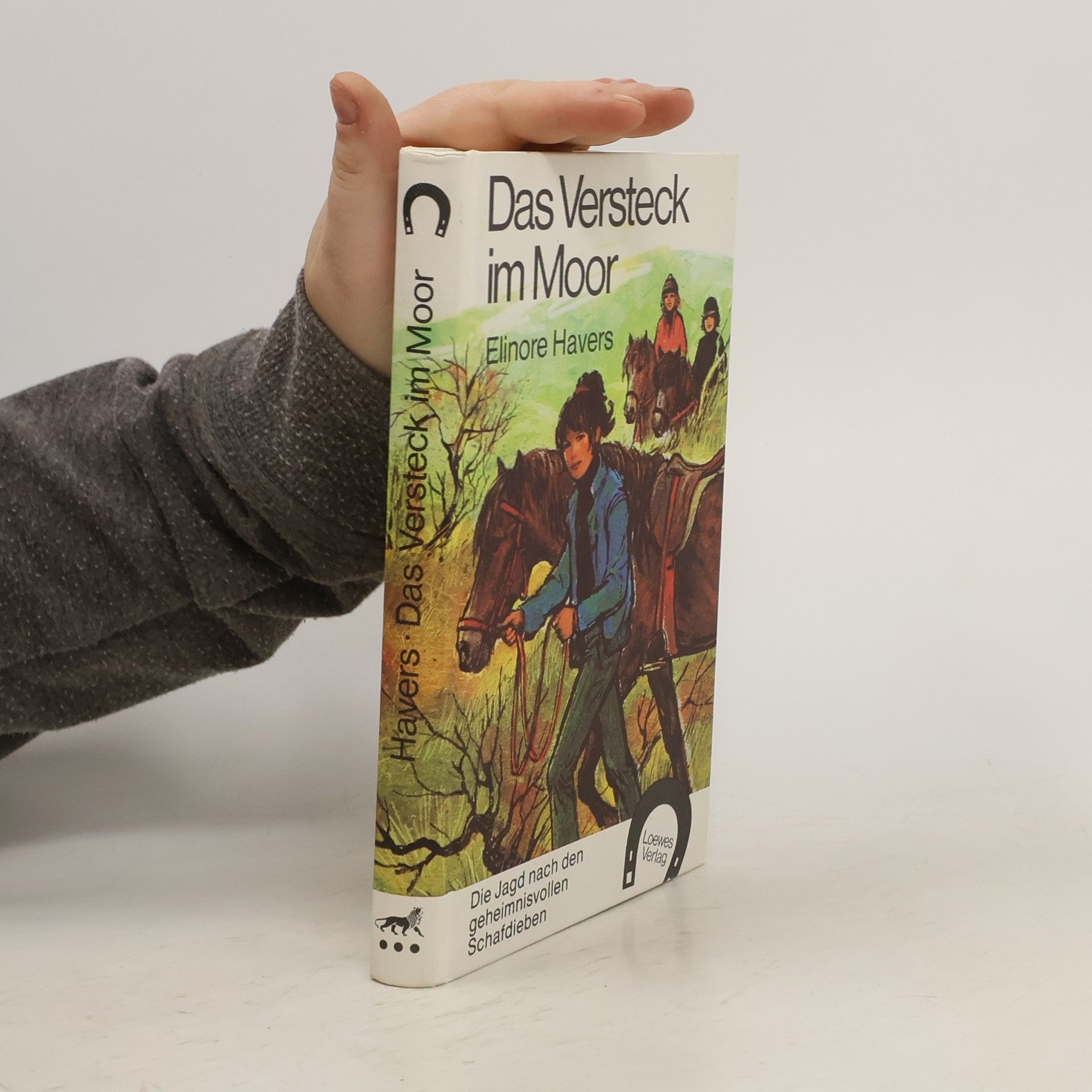 Elinore Havers Das Versteck im Moor