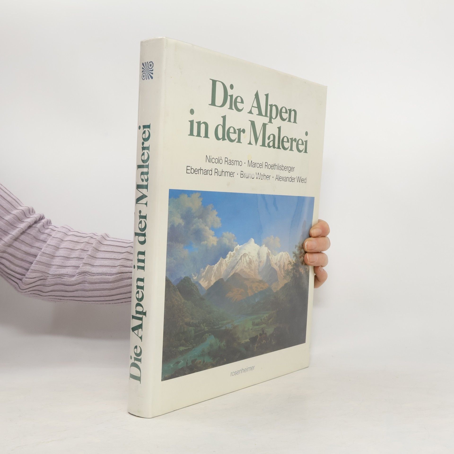 Nicolo Rasmo Die Alpen in der Malerei