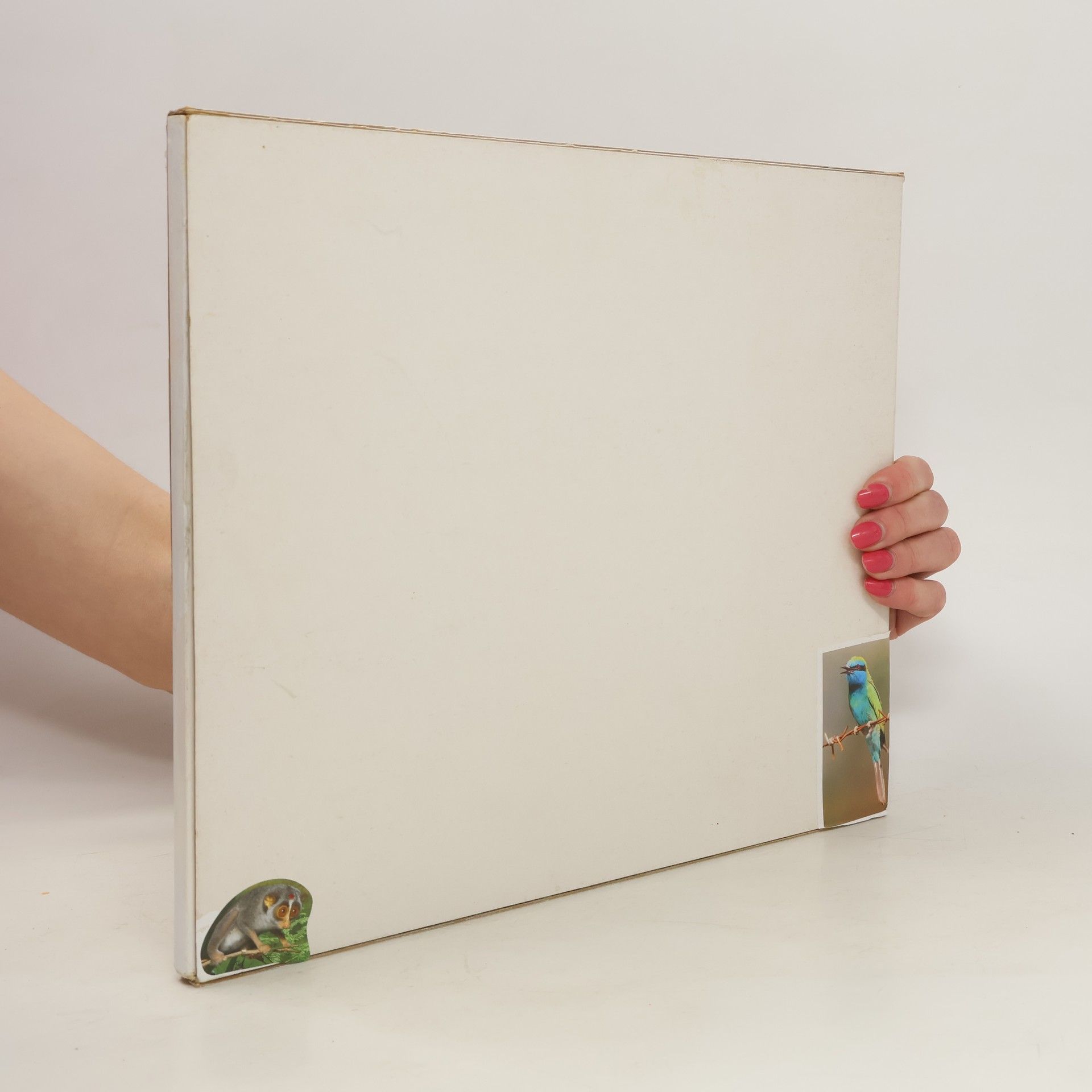 Autorenkollektiv Die Firmengruppe Liebherr