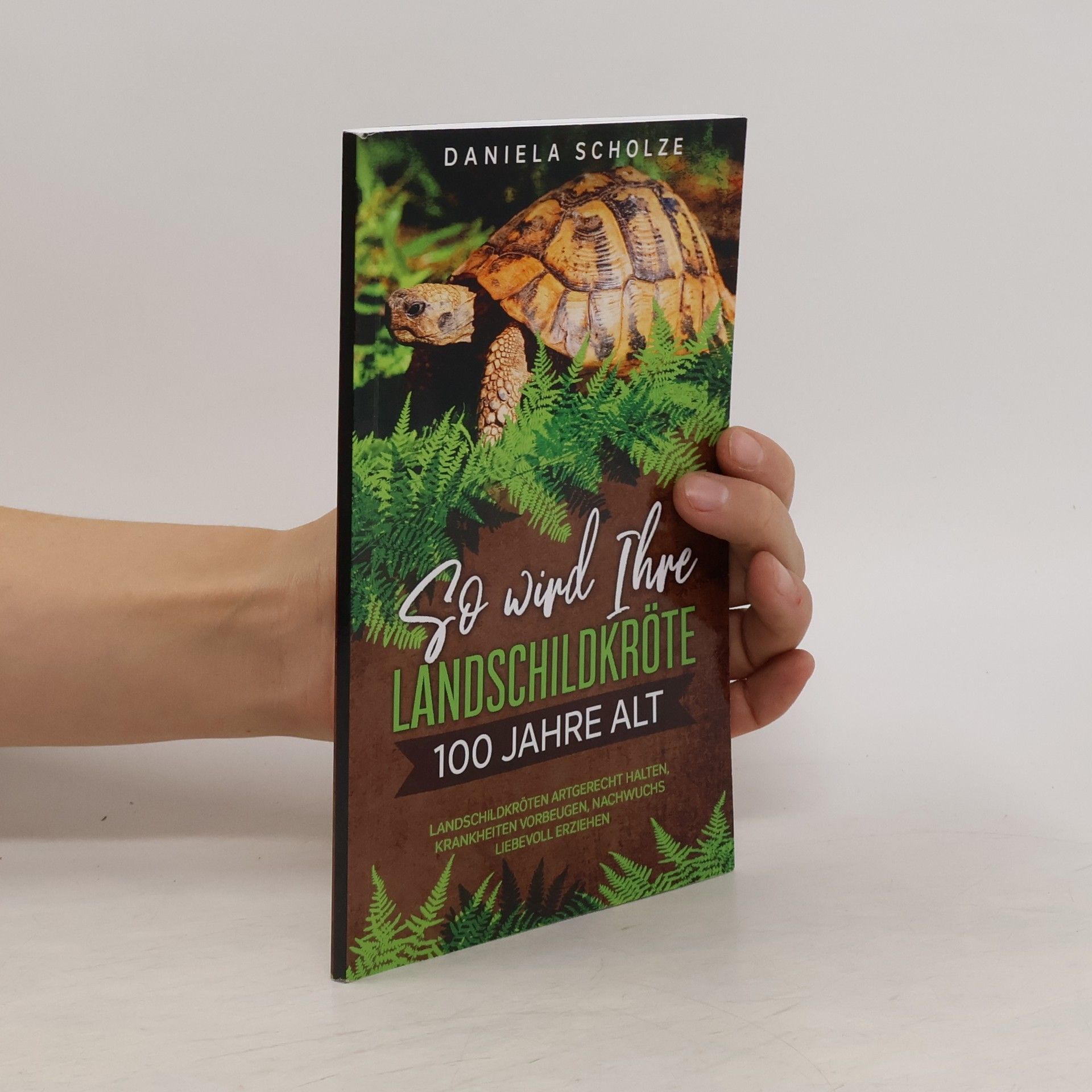 Daniela Scholze So wird Ihre Landschildkröte 100 Jahre alt