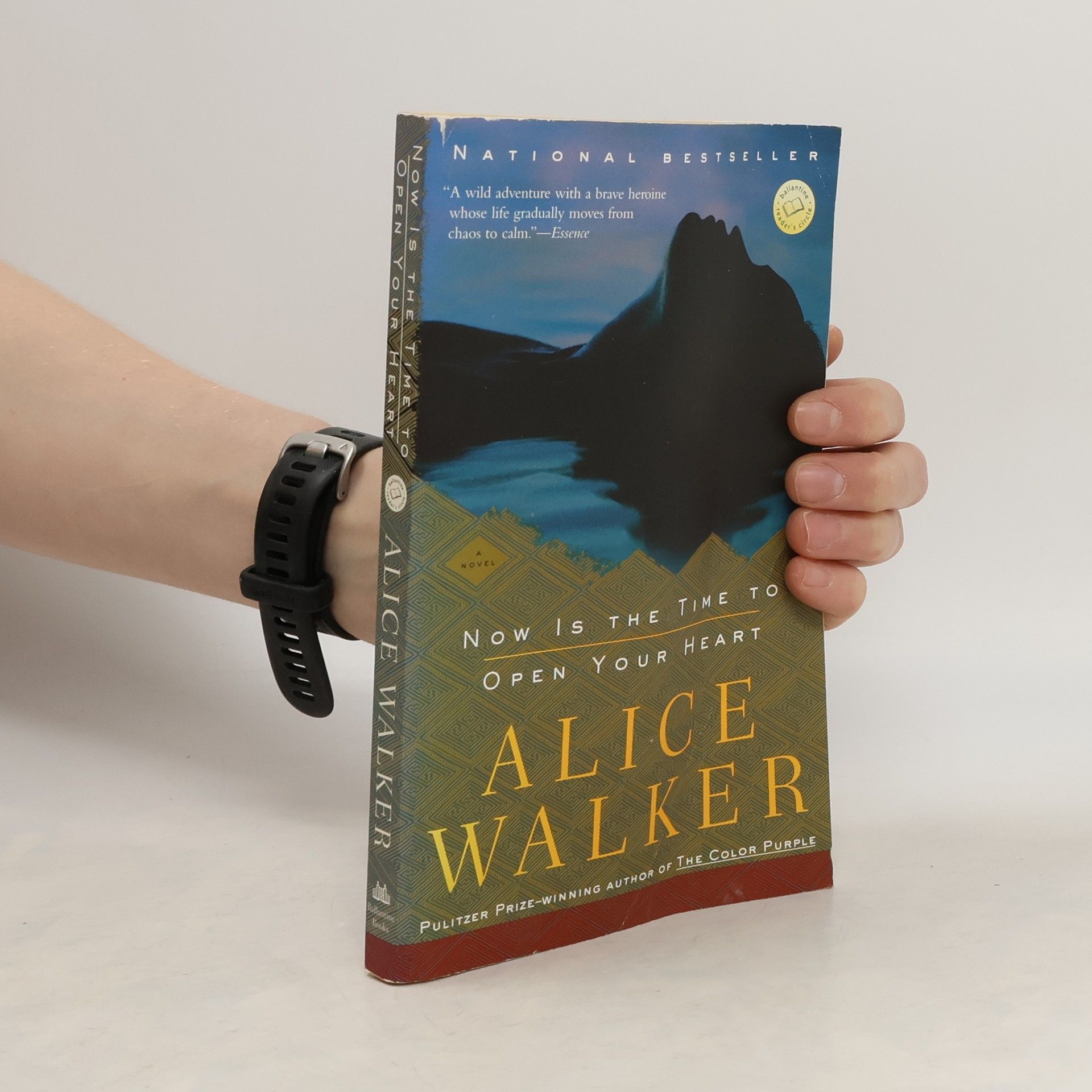 Alice Malsenior Walkerová Now Is the Time to Open Your Heart