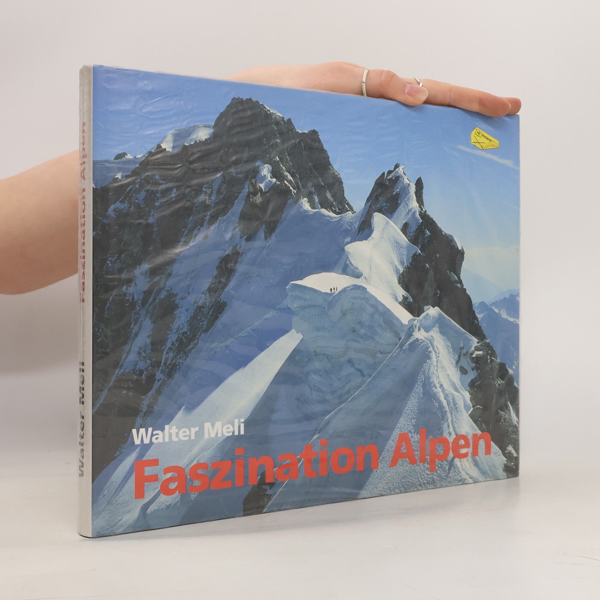Walter Meli Faszination Alpen