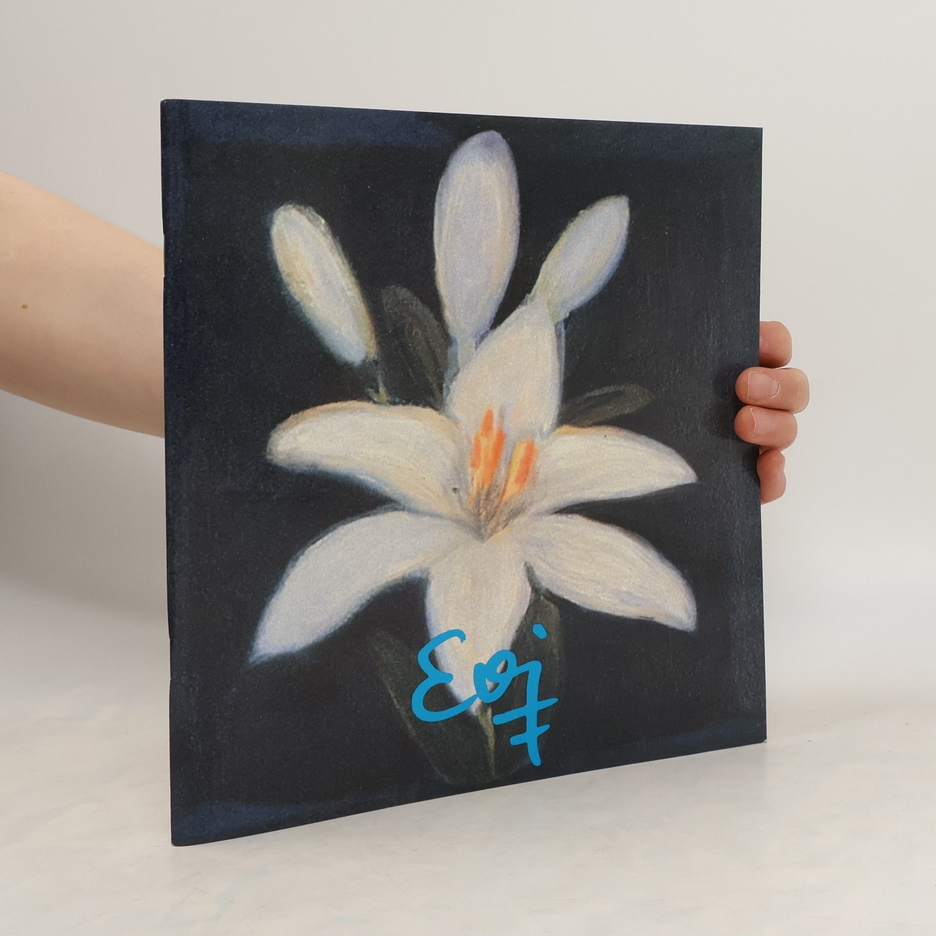 Autorenkollektiv Evi Fersterer