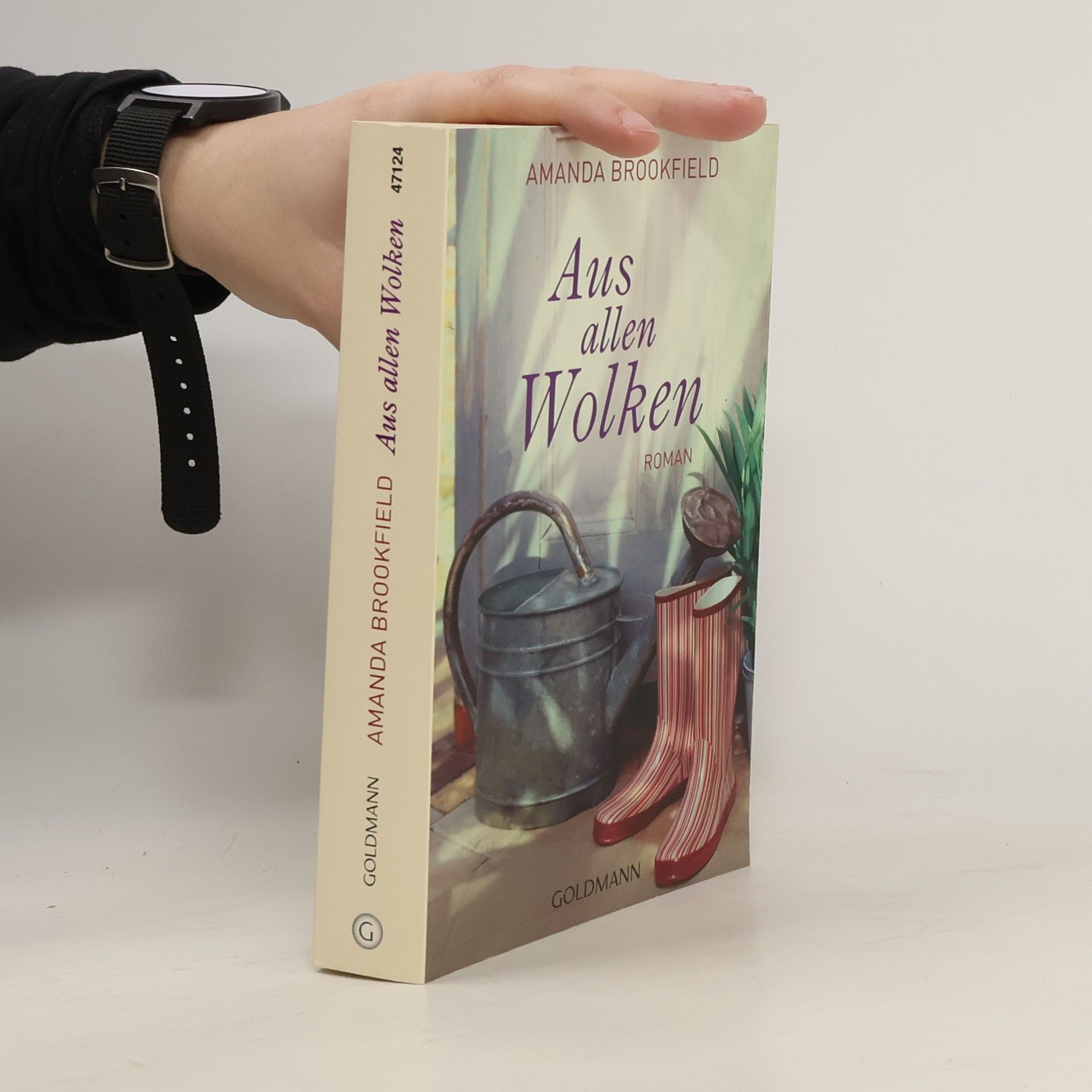 Amanda Brookfield Aus allen Wolken