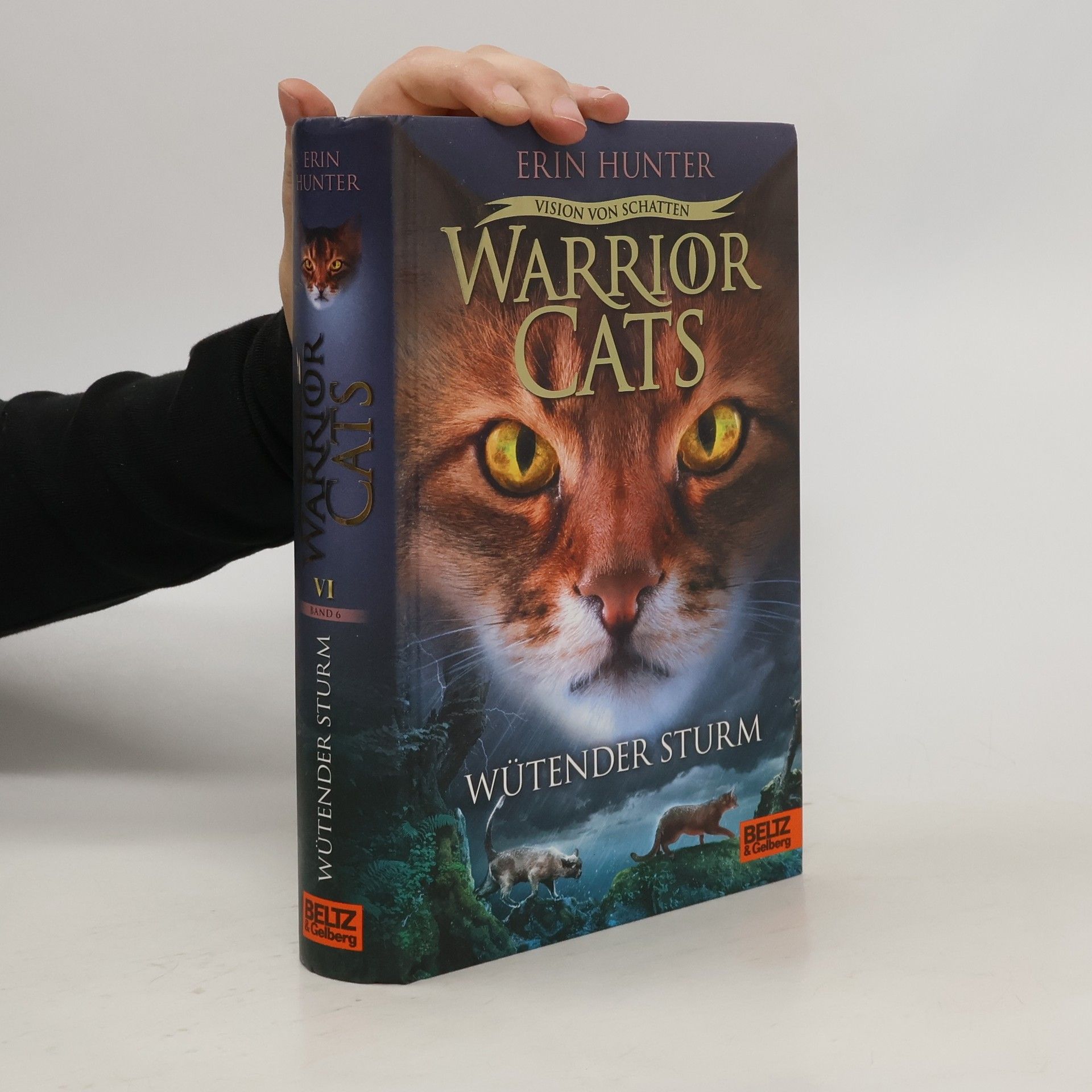 Erin Hunter Wütender Sturm