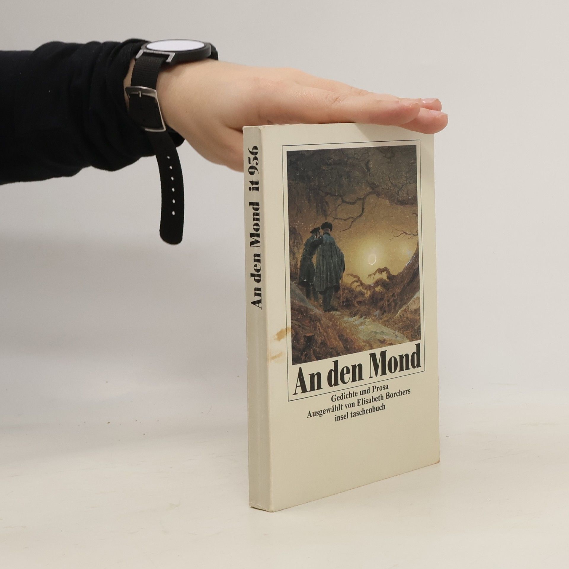 Elisabeth Borchers An den Mond