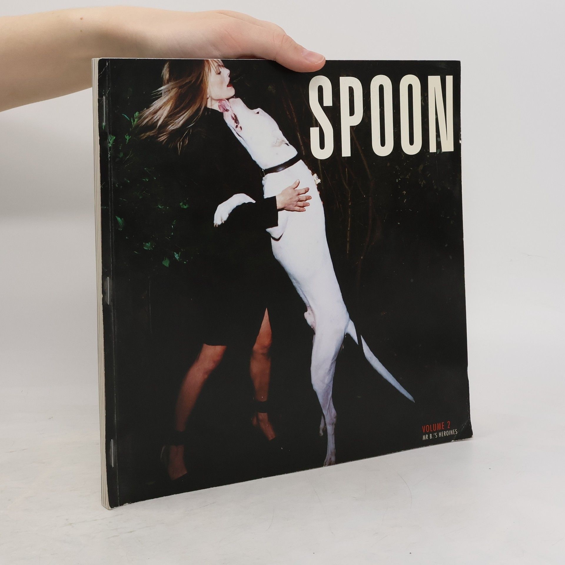 Collectif d'auteurs Spoon 2. Mr B’s Heroines