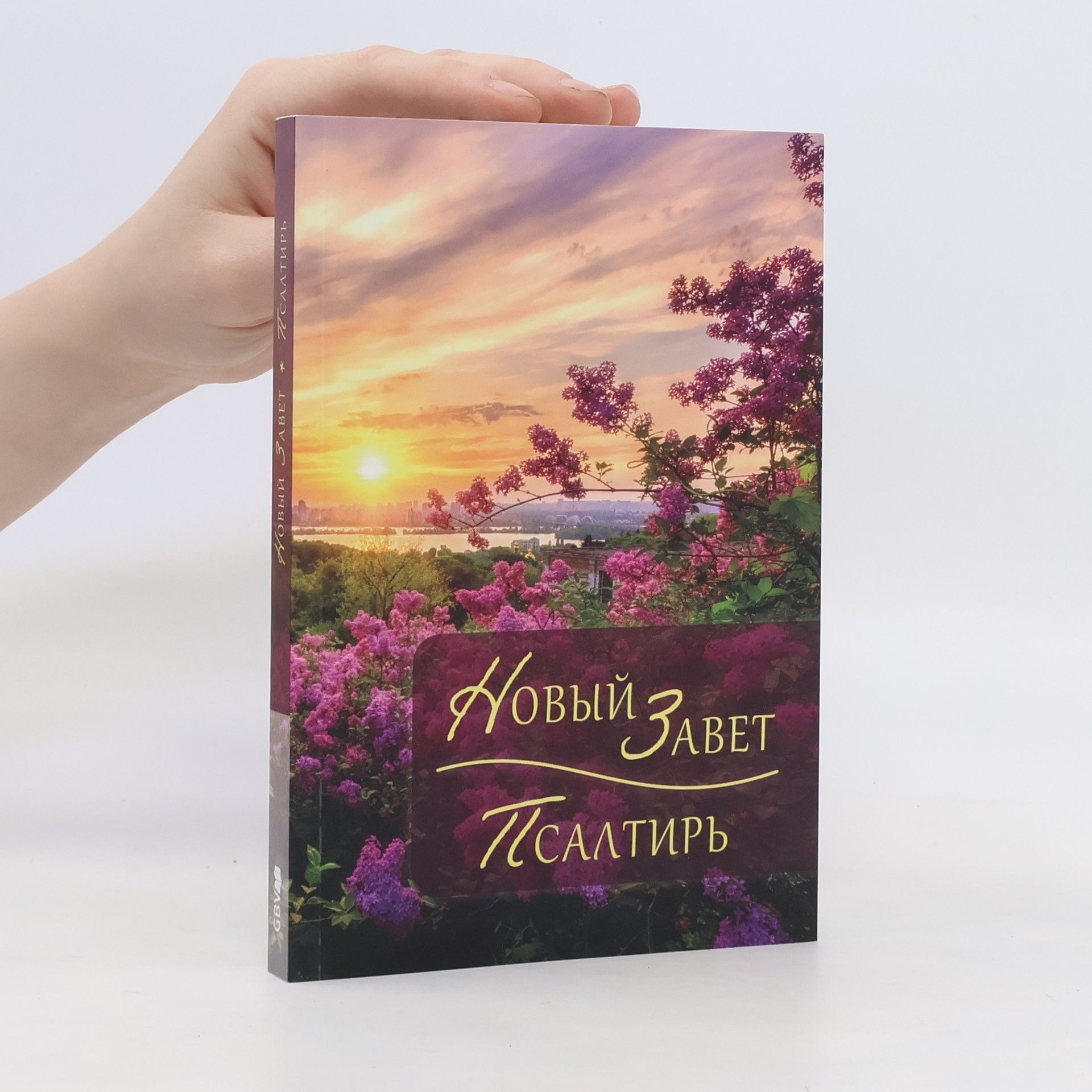 Kolektiv autorů Новый Завет
