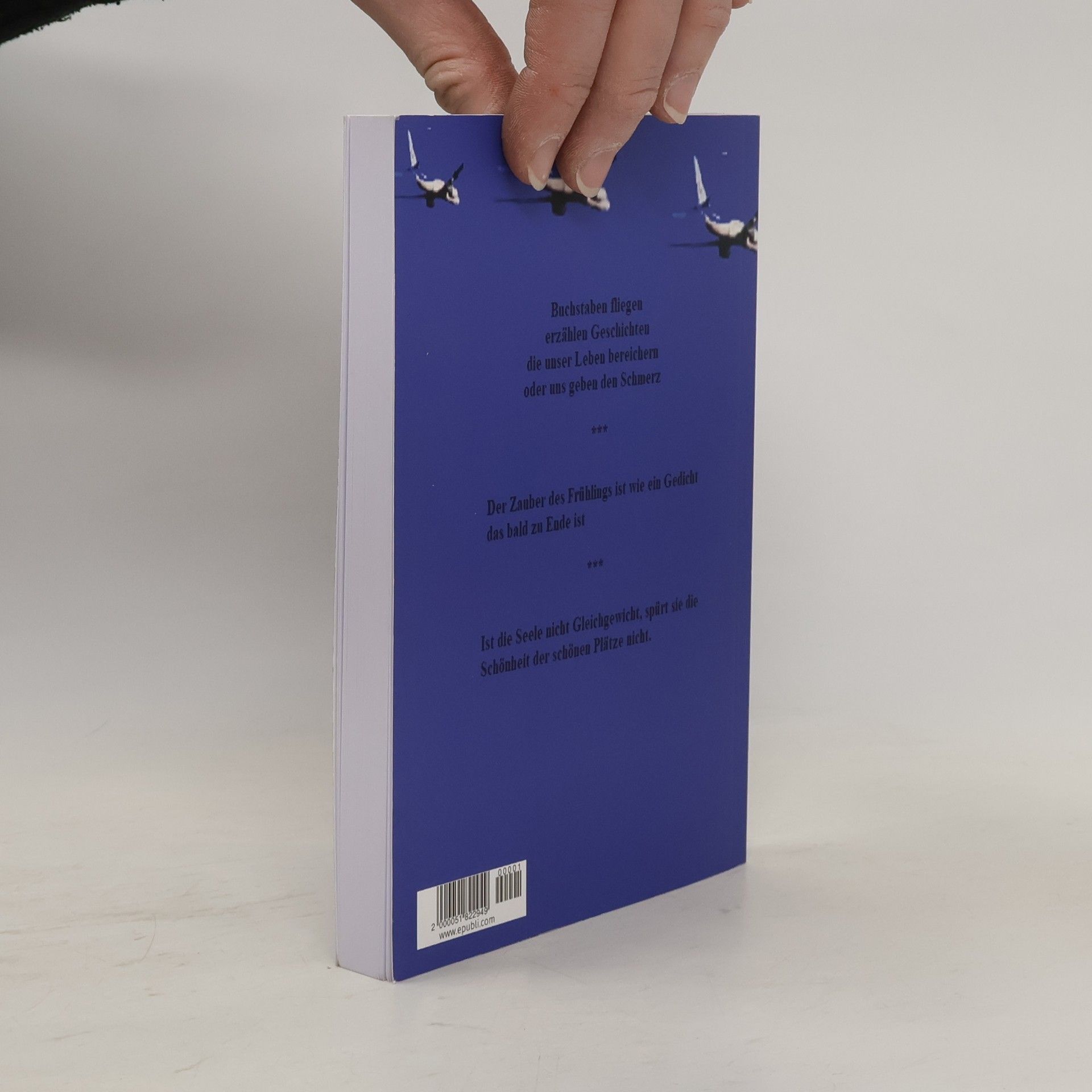 Friederike Masawd Buchstaben Fliegen