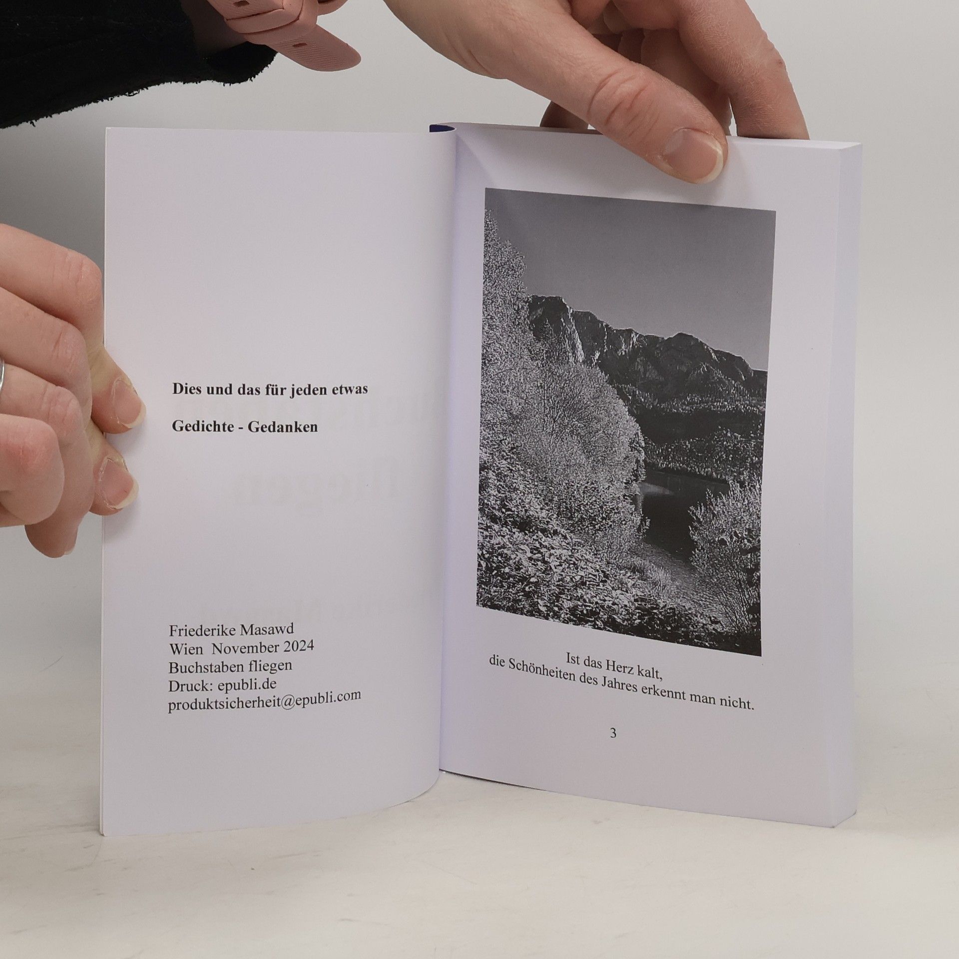 Friederike Masawd Buchstaben Fliegen