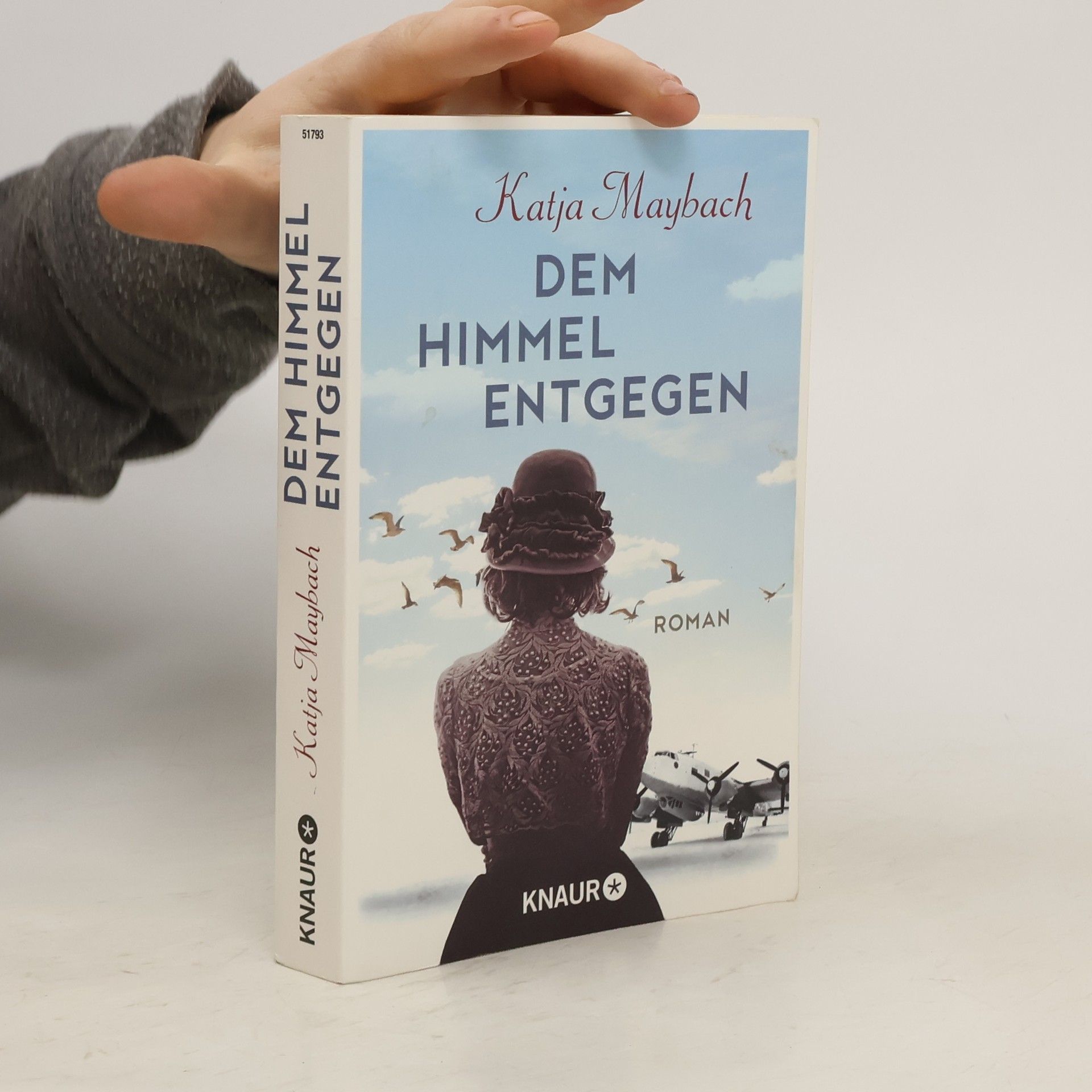 Katja Maybach Dem Himmel entgegen