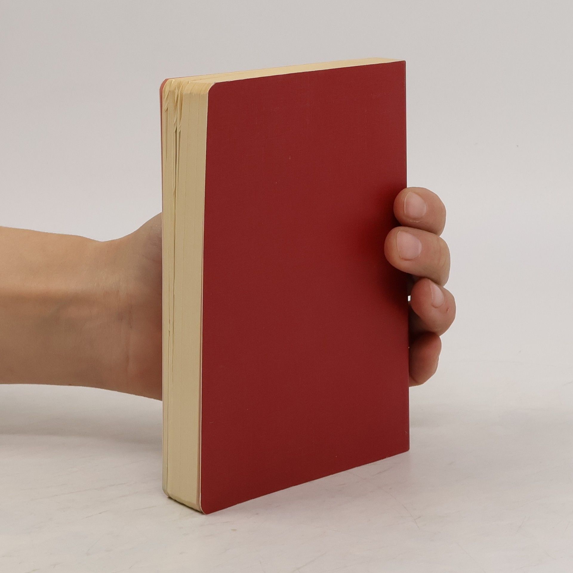 Autorenkollektiv Das Neue Testament