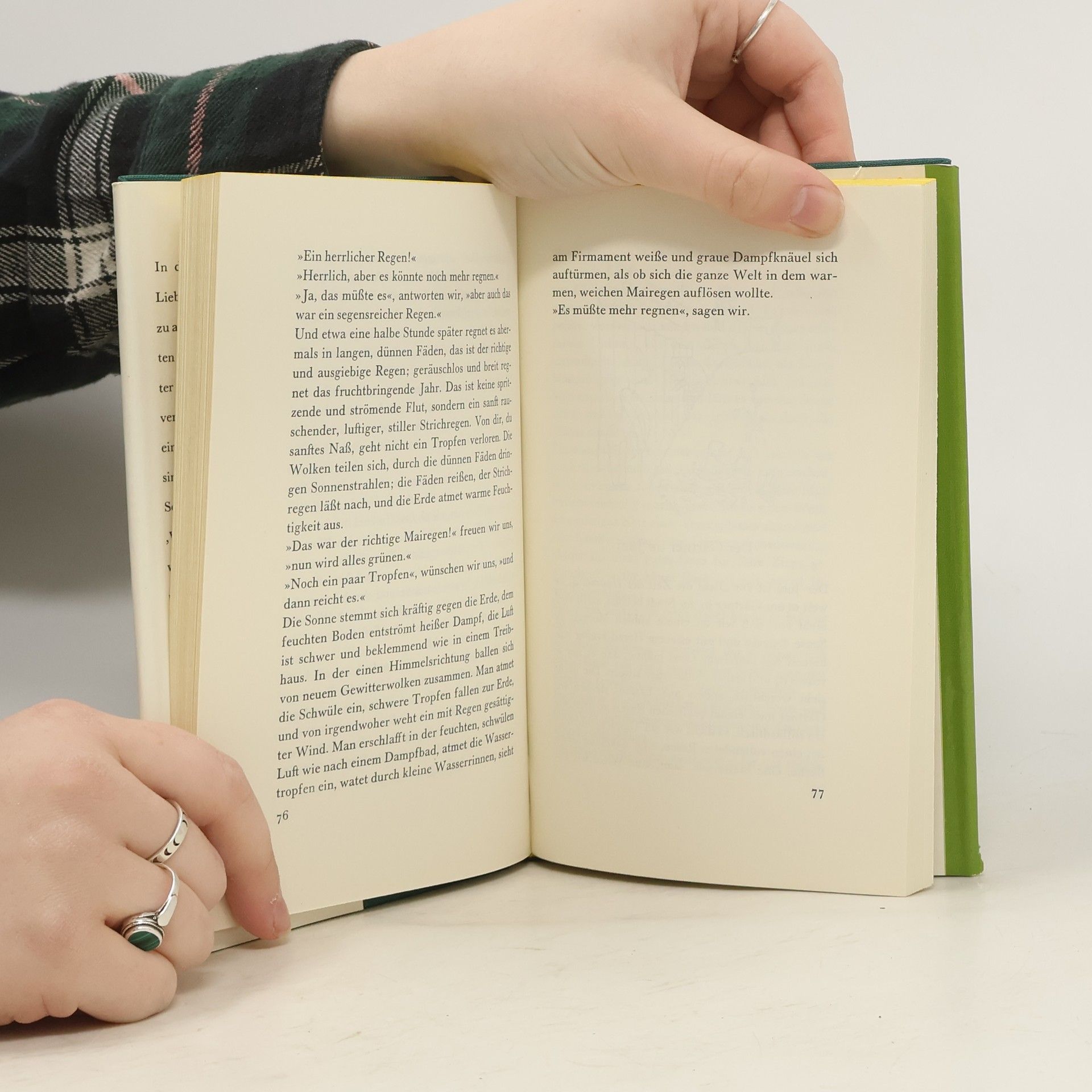 Karel Čapek Das Jahr des Gärtners