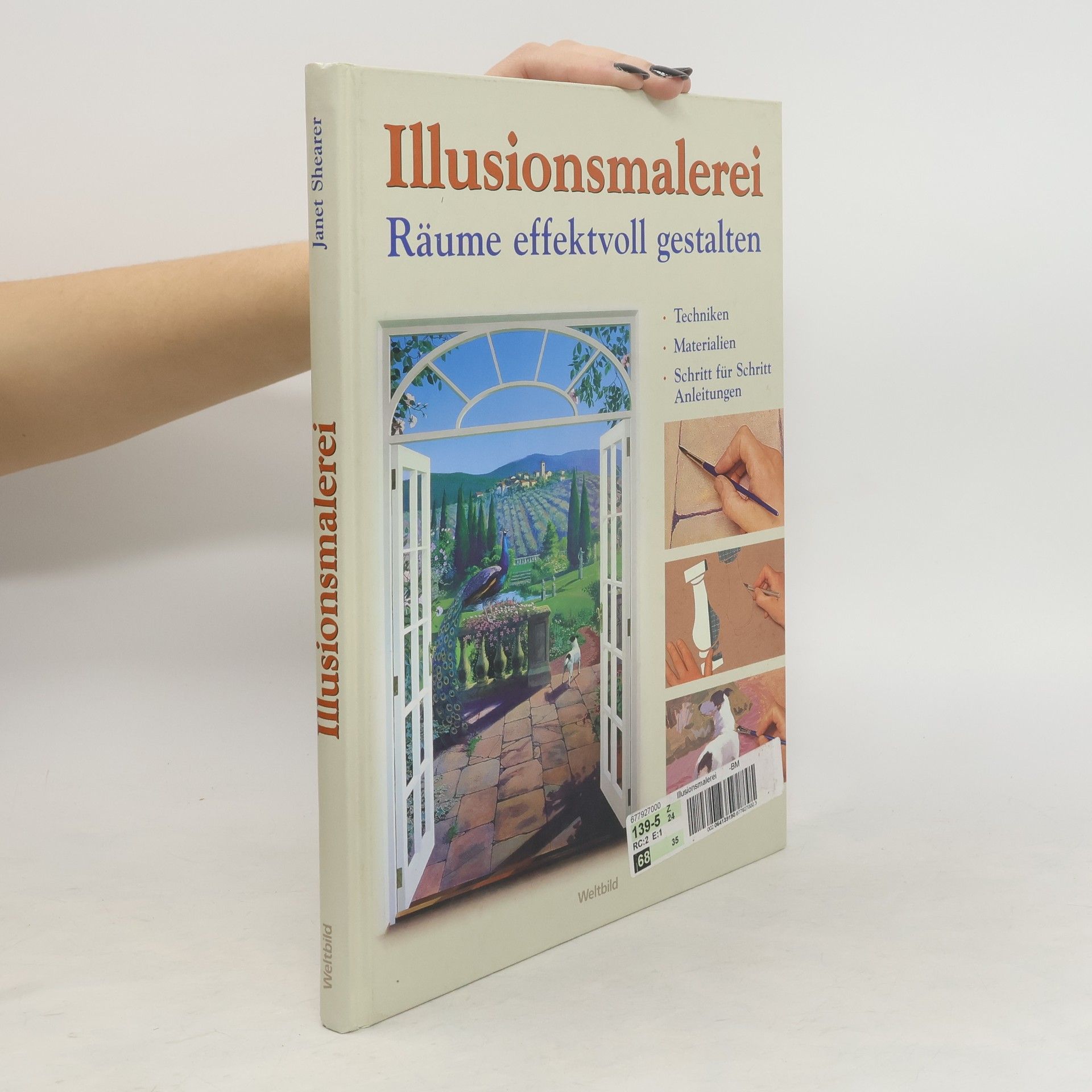 Janet Shearer Illusionsmalerei