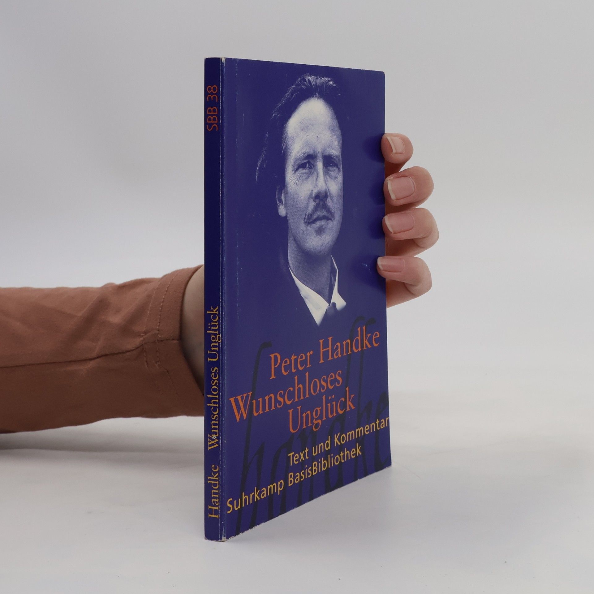 Peter Handke Wunschloses Unglück
