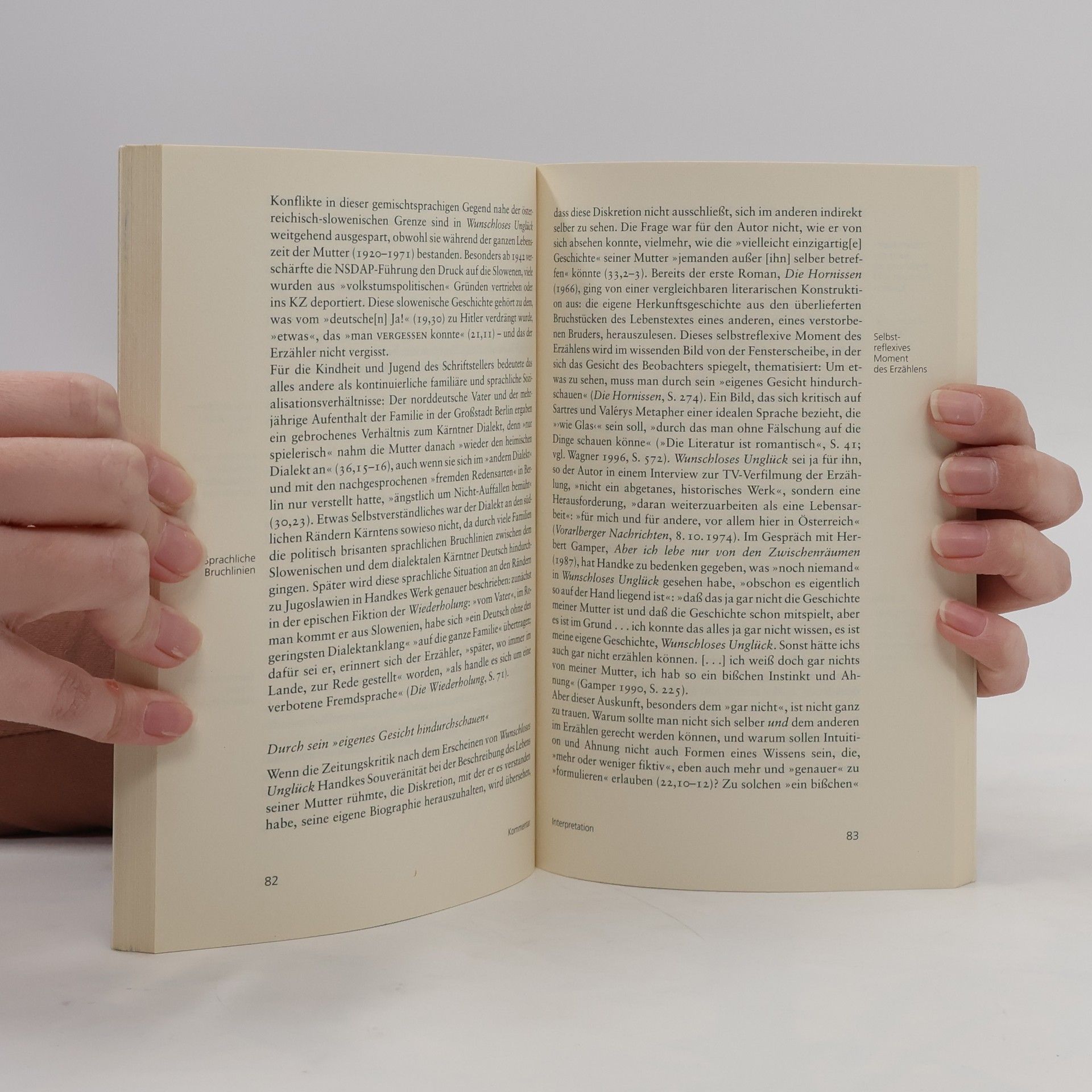 Peter Handke Wunschloses Unglück