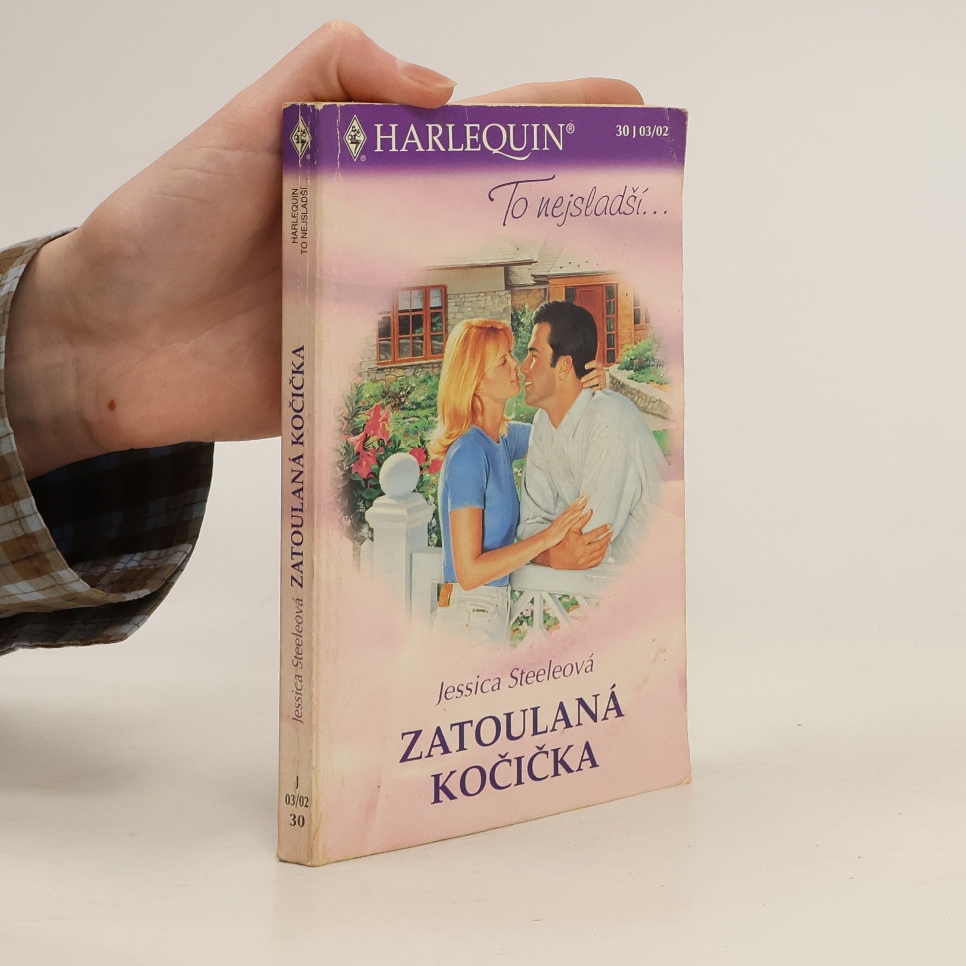 Jessica Steel Zatoulaná kočička