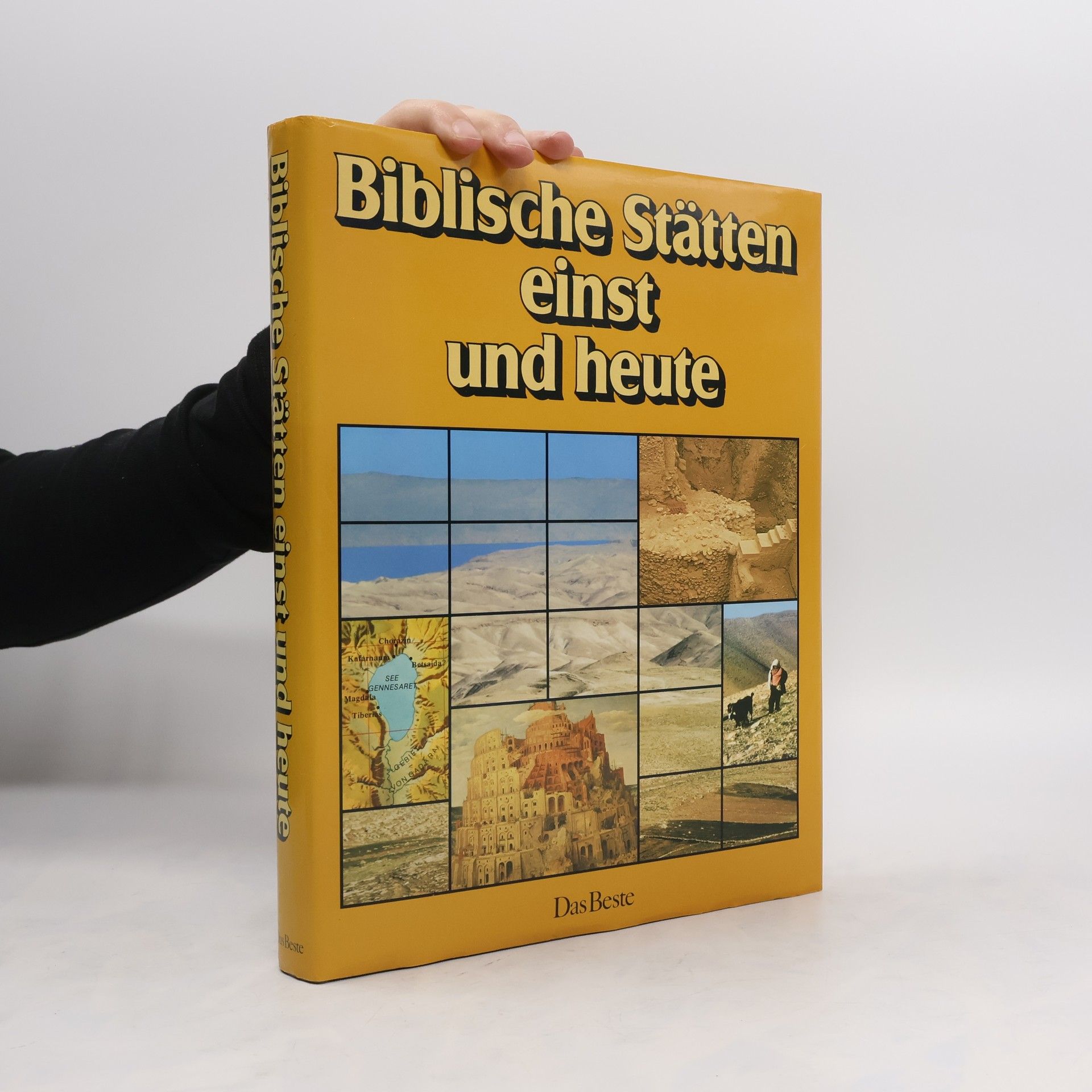 Harry Thomas Frank Biblische Stätten einst und heute