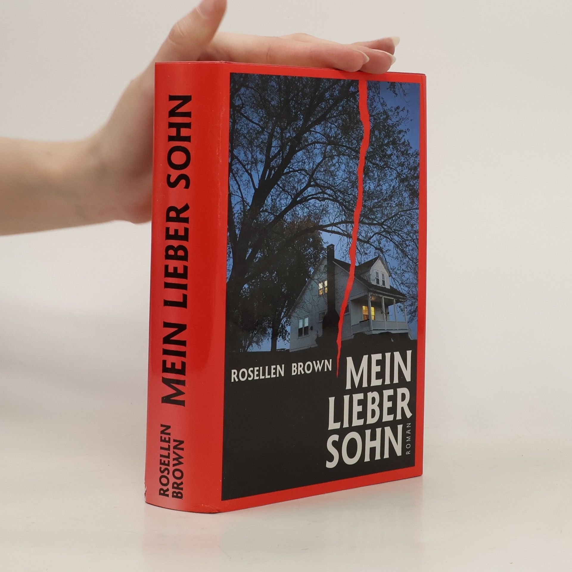 Rosellen Brown Mein lieber Sohn