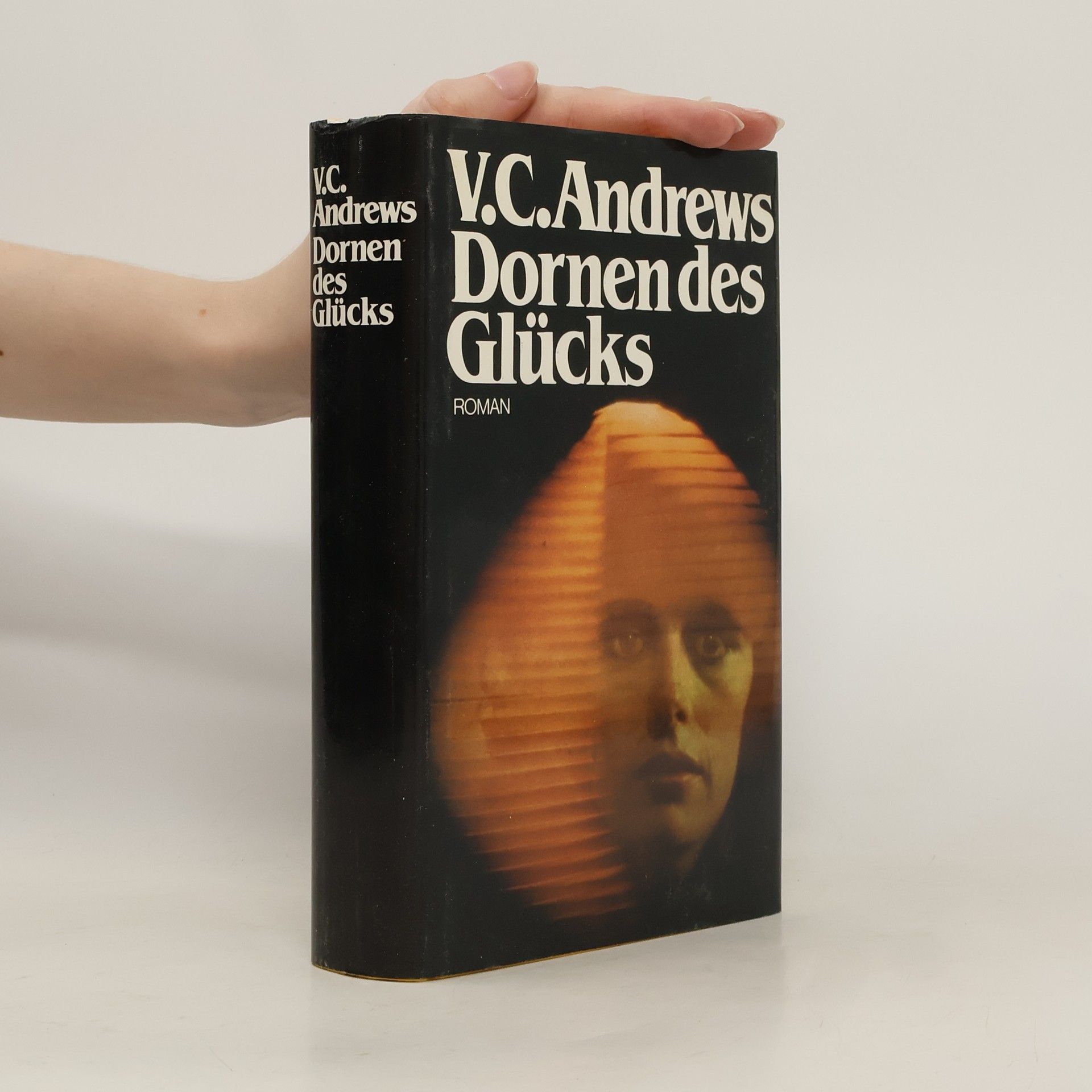 V. C. Andrews Dornen des Glücks