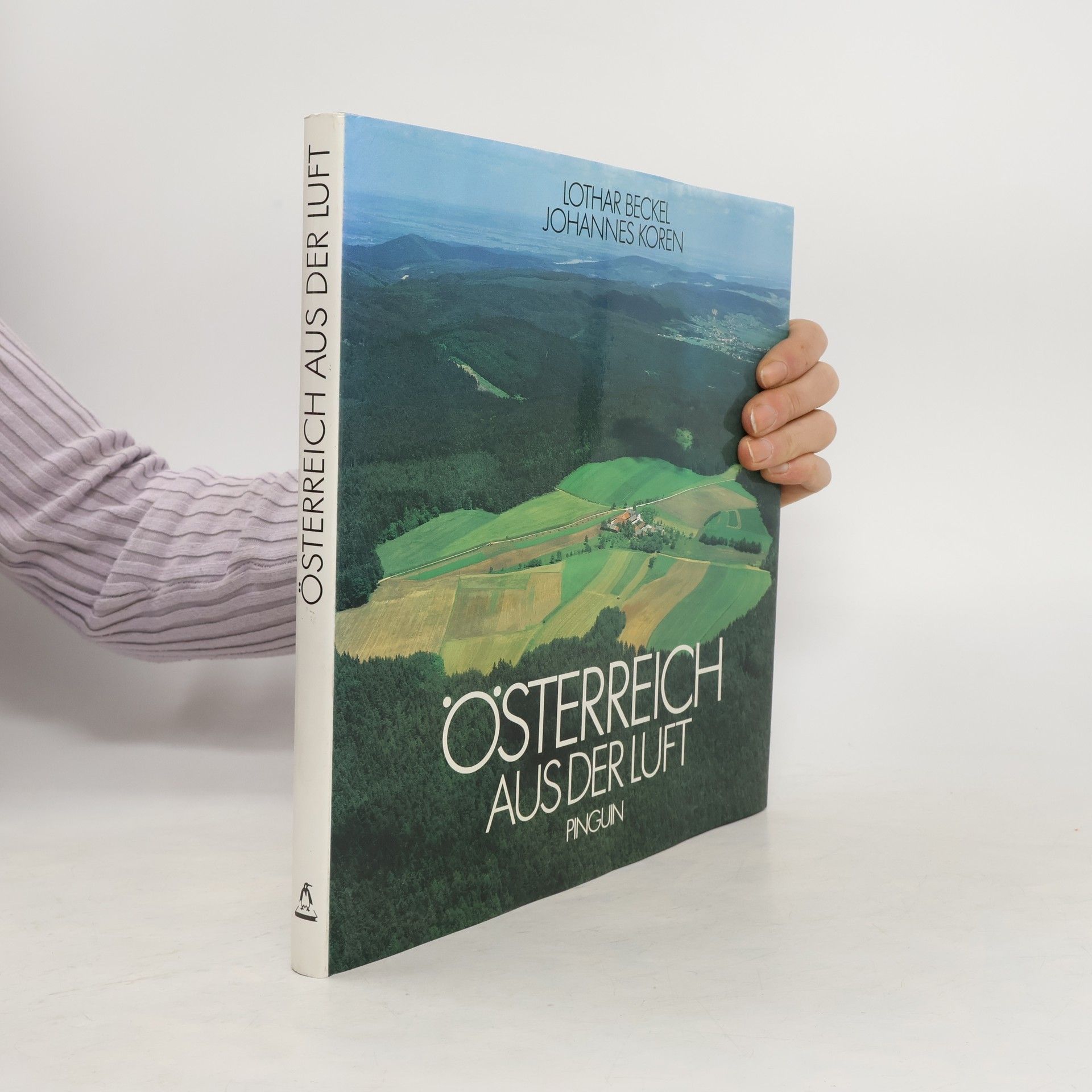 Lothar Beckel Österreich aus der Luft