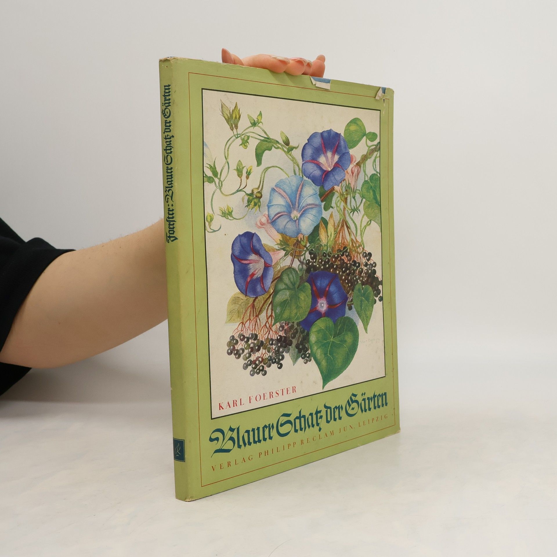Karl Foester Blauer Schatz der Gärten