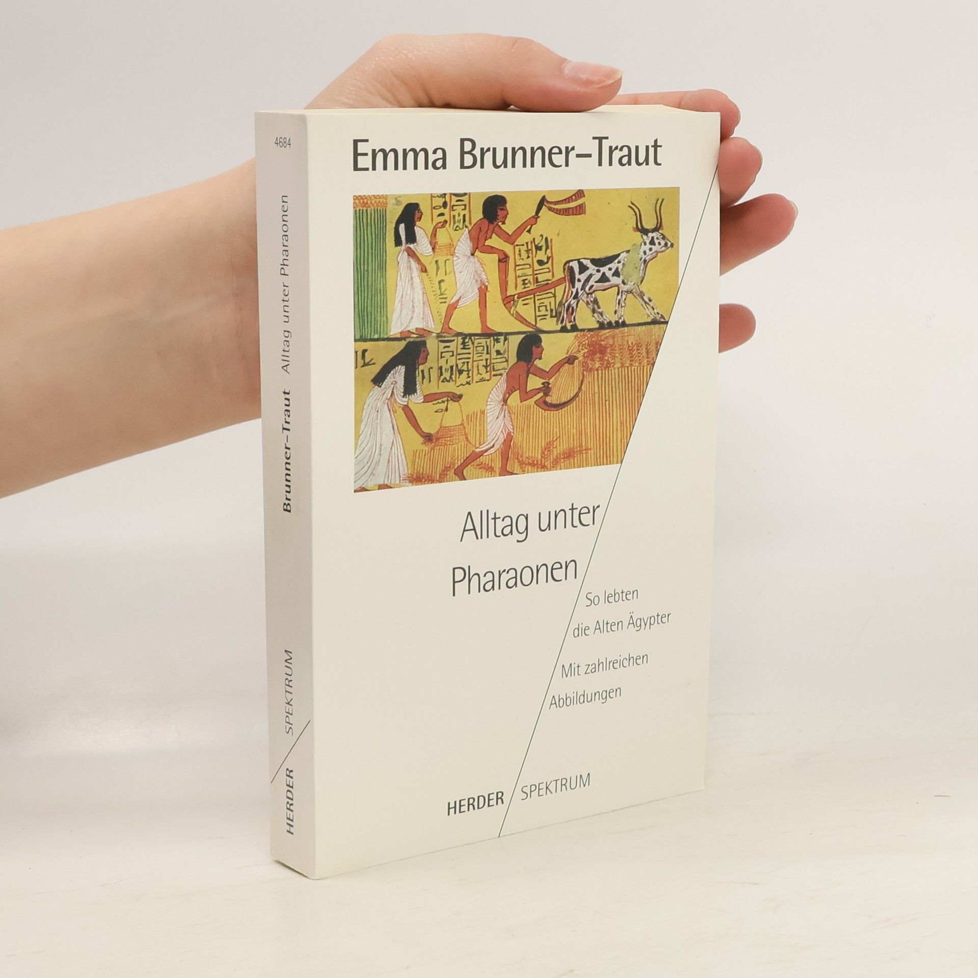 Emma Brunnerová-Trautová Alltag unter Pharaonen