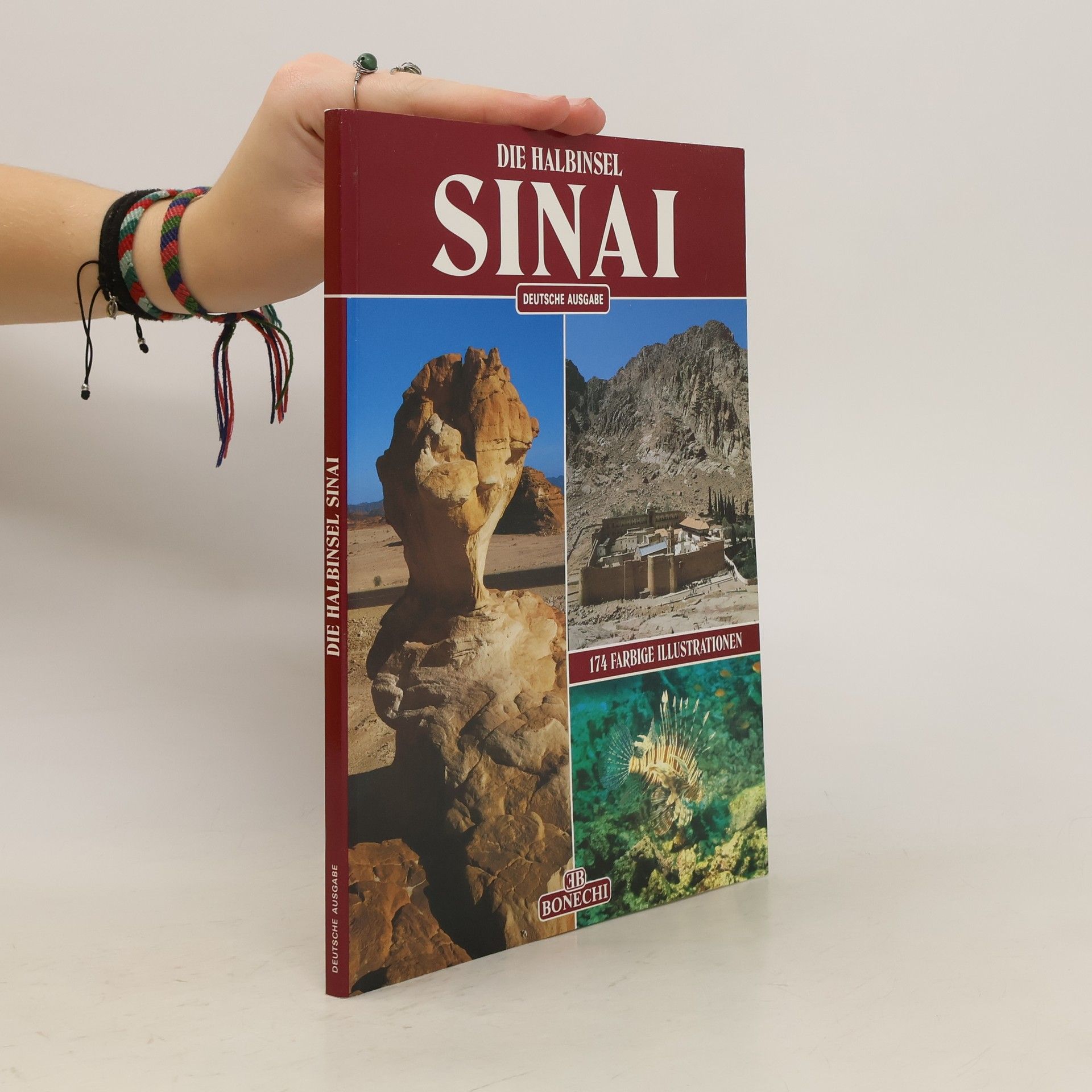 Giovanna Magi Die Halbinsel Sinai