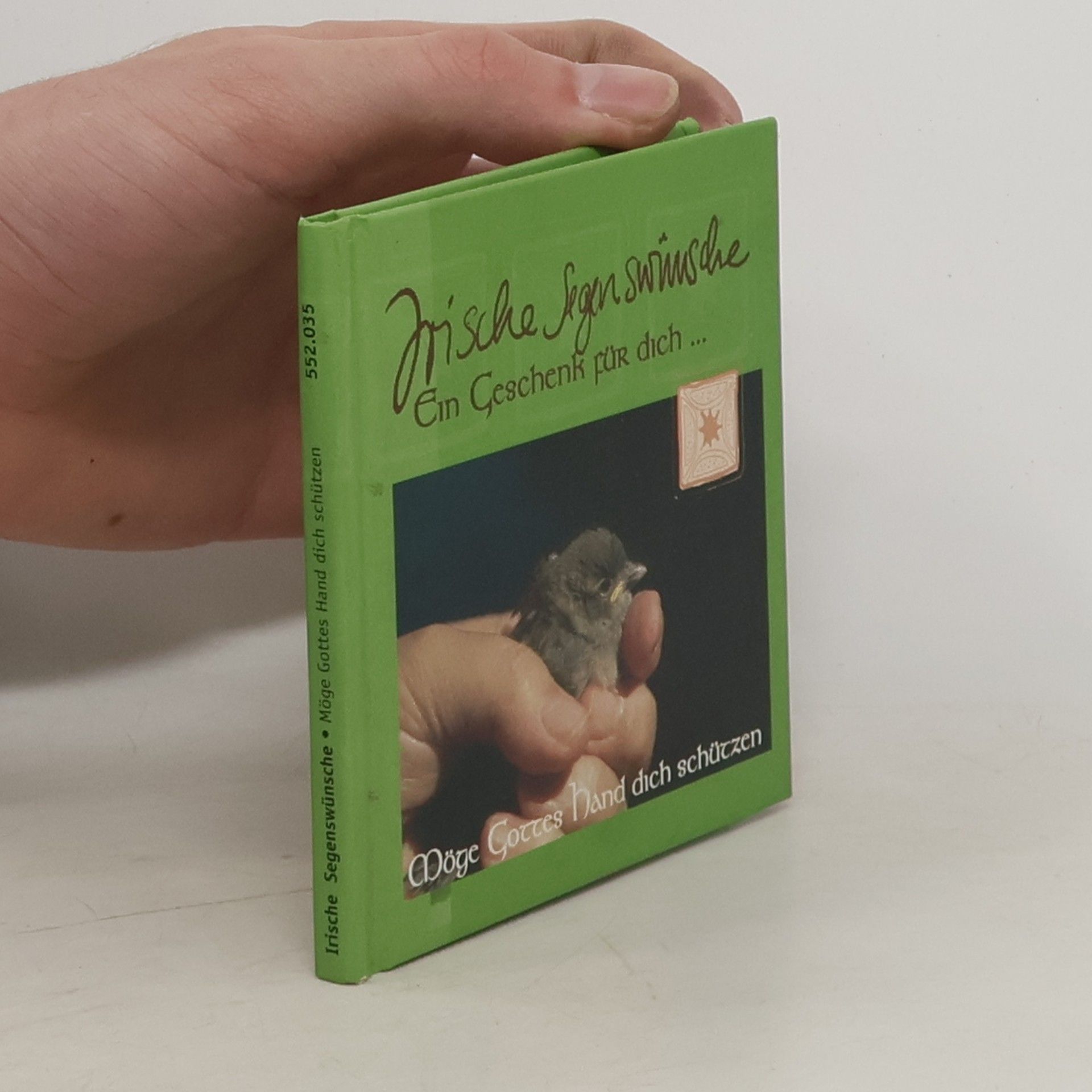 Autorenkollektiv Irische Segenswünsche. Möge Gottes Hand dich schützen