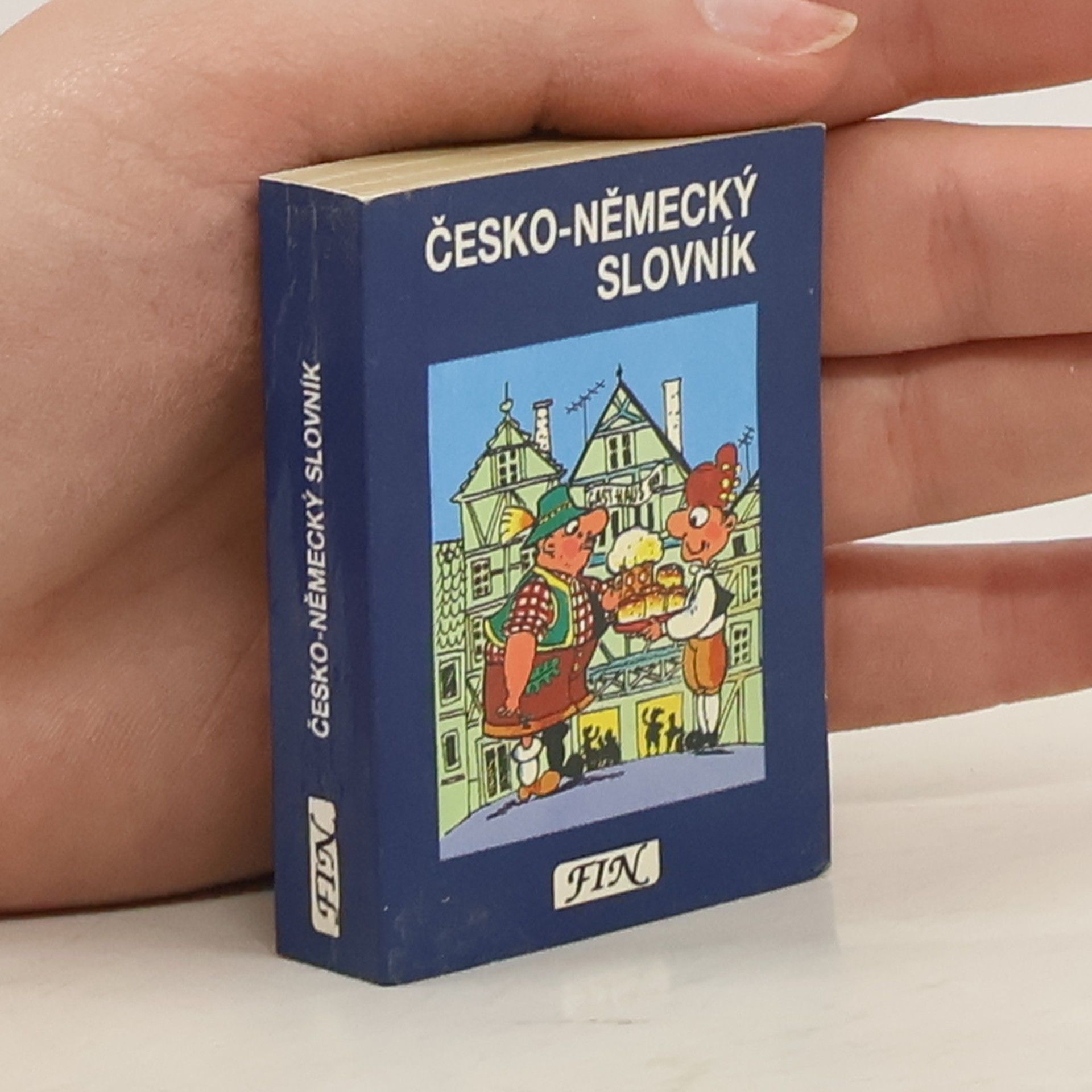 kolektiv Česko-německý slovník