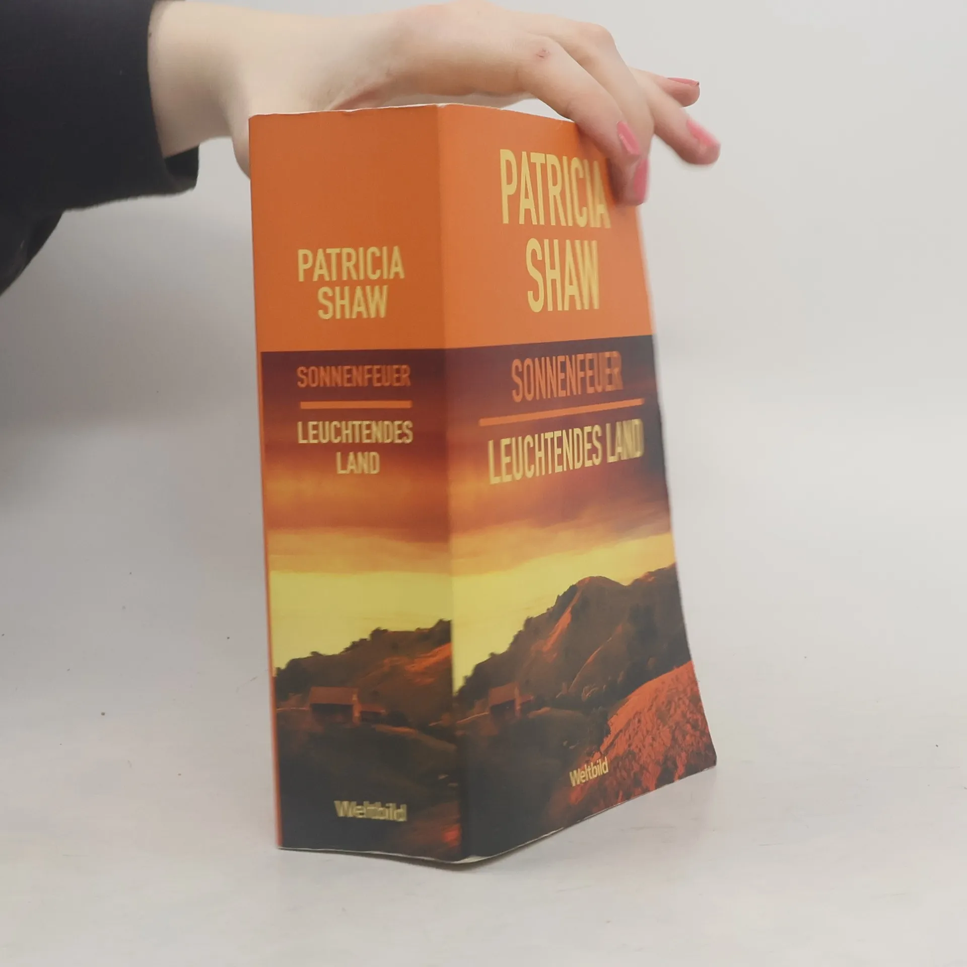 Sonnenfeuer | Buch | Hardcover | Patricia Shaw