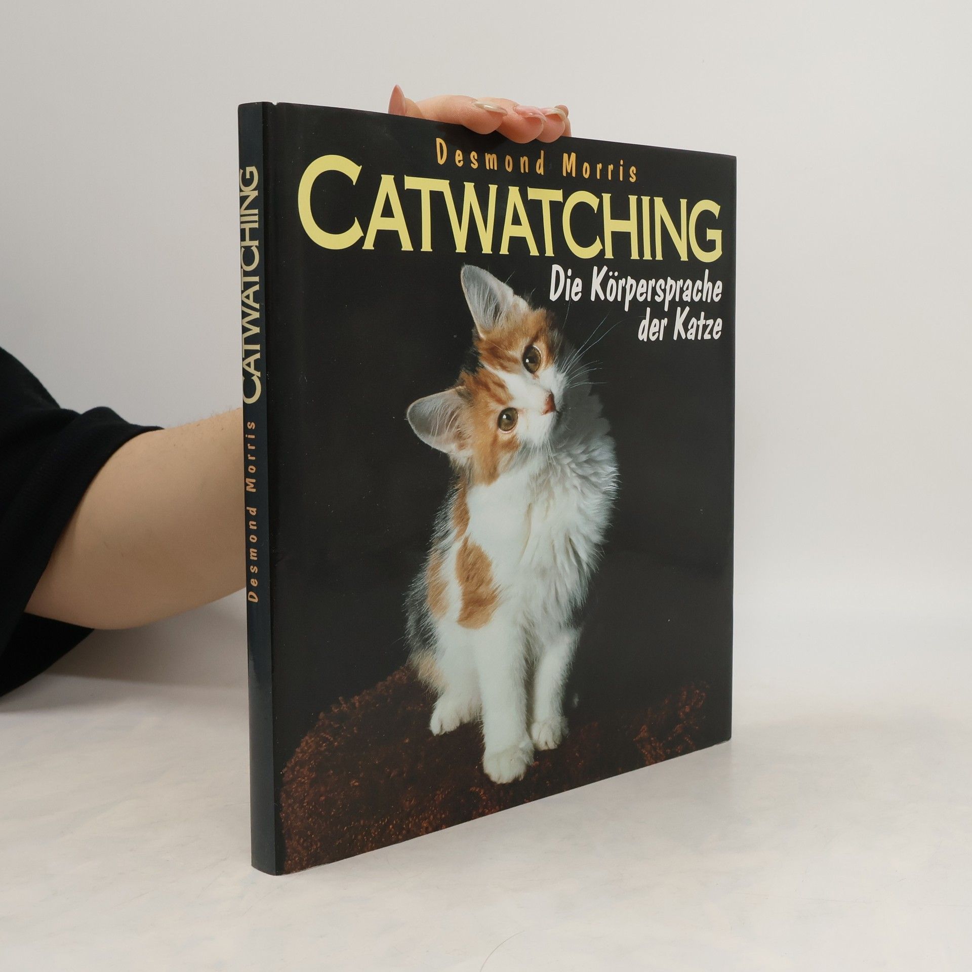kolektiv Catwatching. Die Körpersprache der Katze