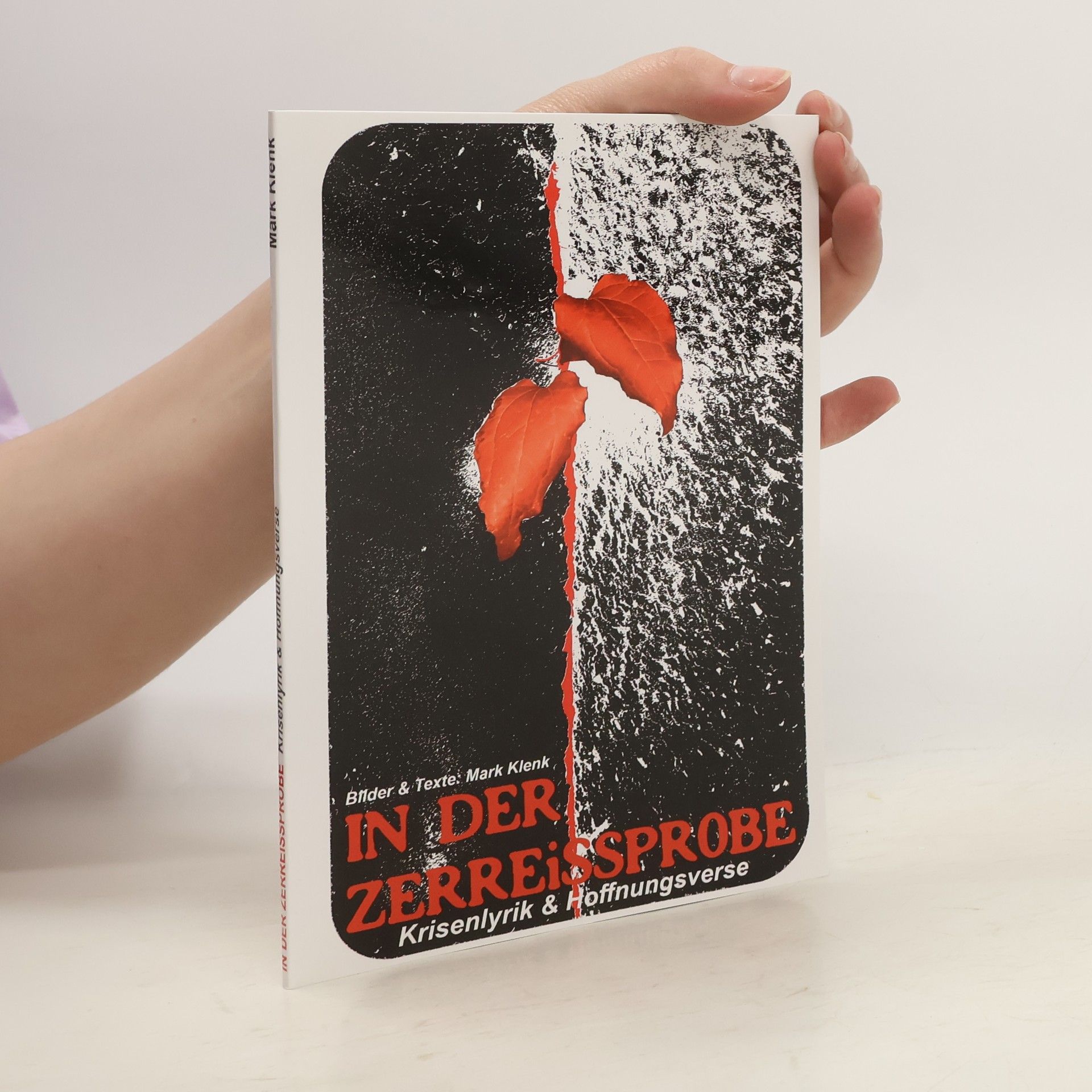 Mark Klenk In der Zerreissprobe
