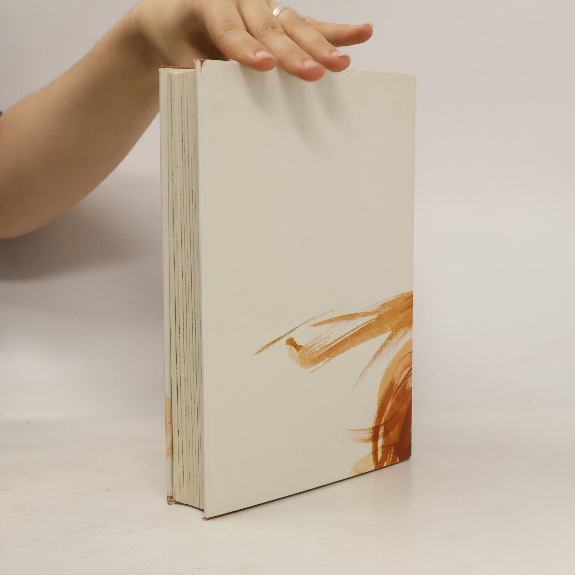 kolektiv Das grosse Buch der kleinen Freunde