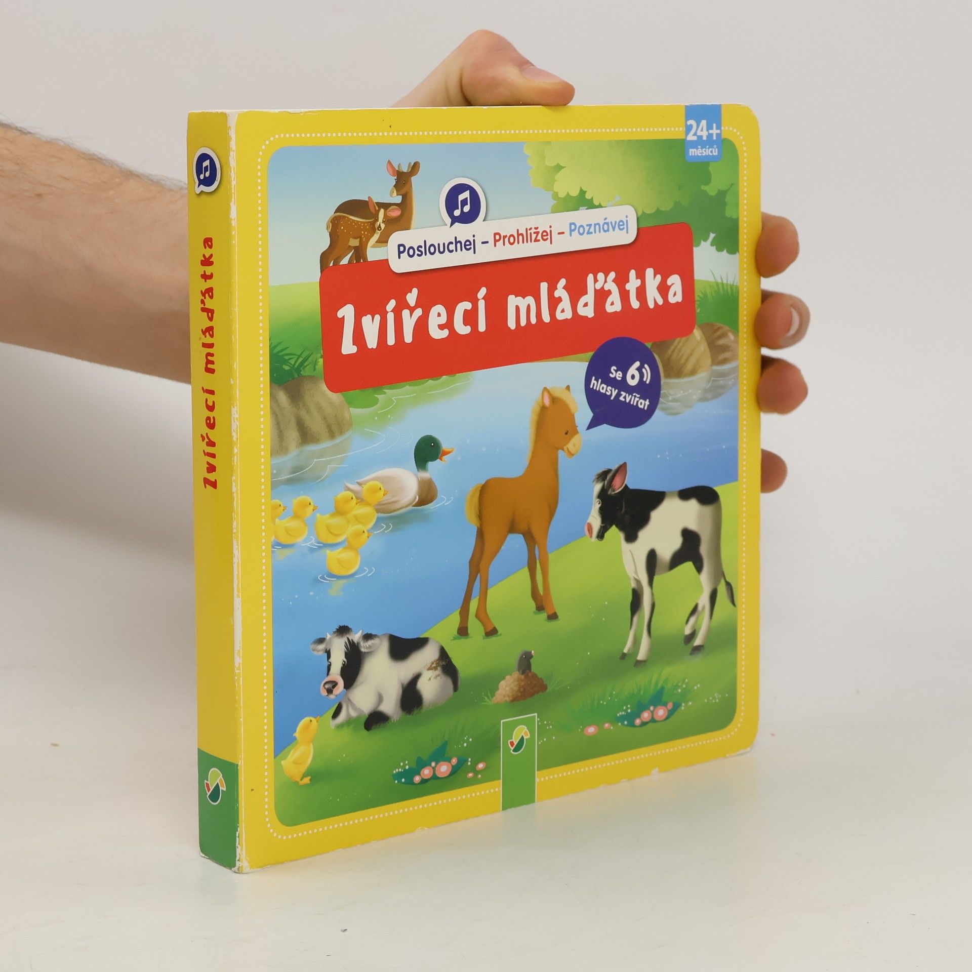 kolektiv Mláďátka zvířat