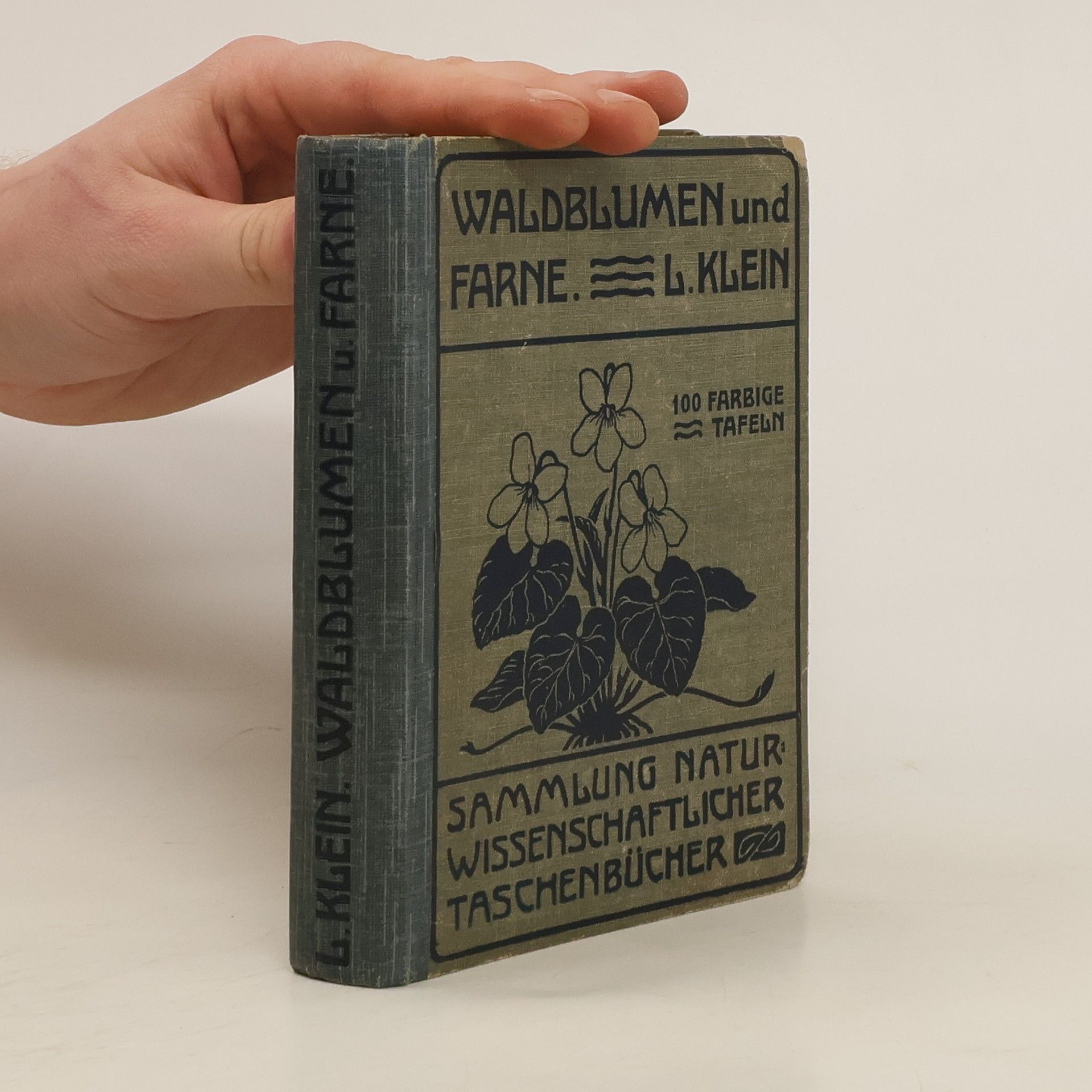 Ludwig Klein Unfere Waldblumen und Farnewächte