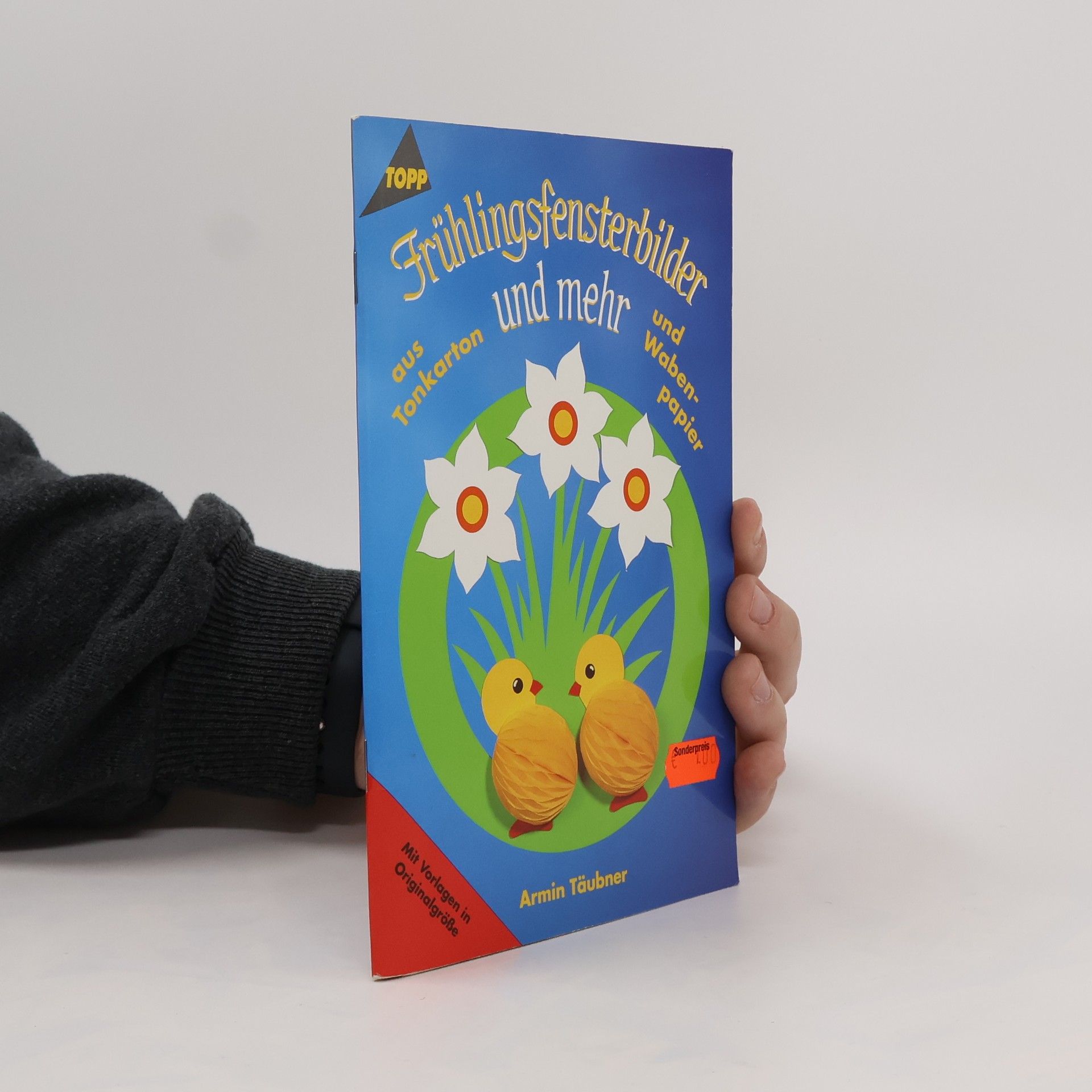 Autorenkollektiv Frühlingsfensterbilder und mehr