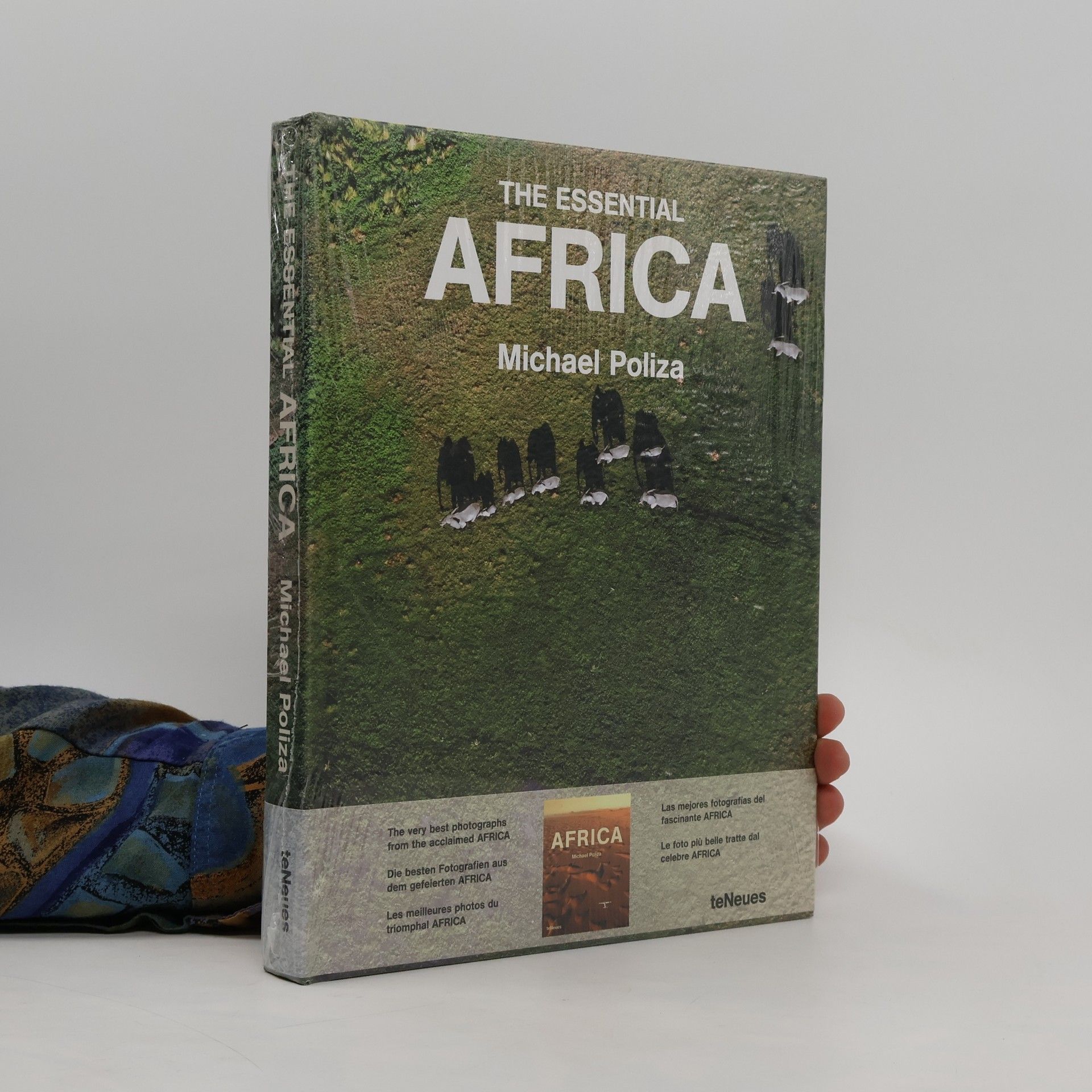 Michael Poliza The essential Africa