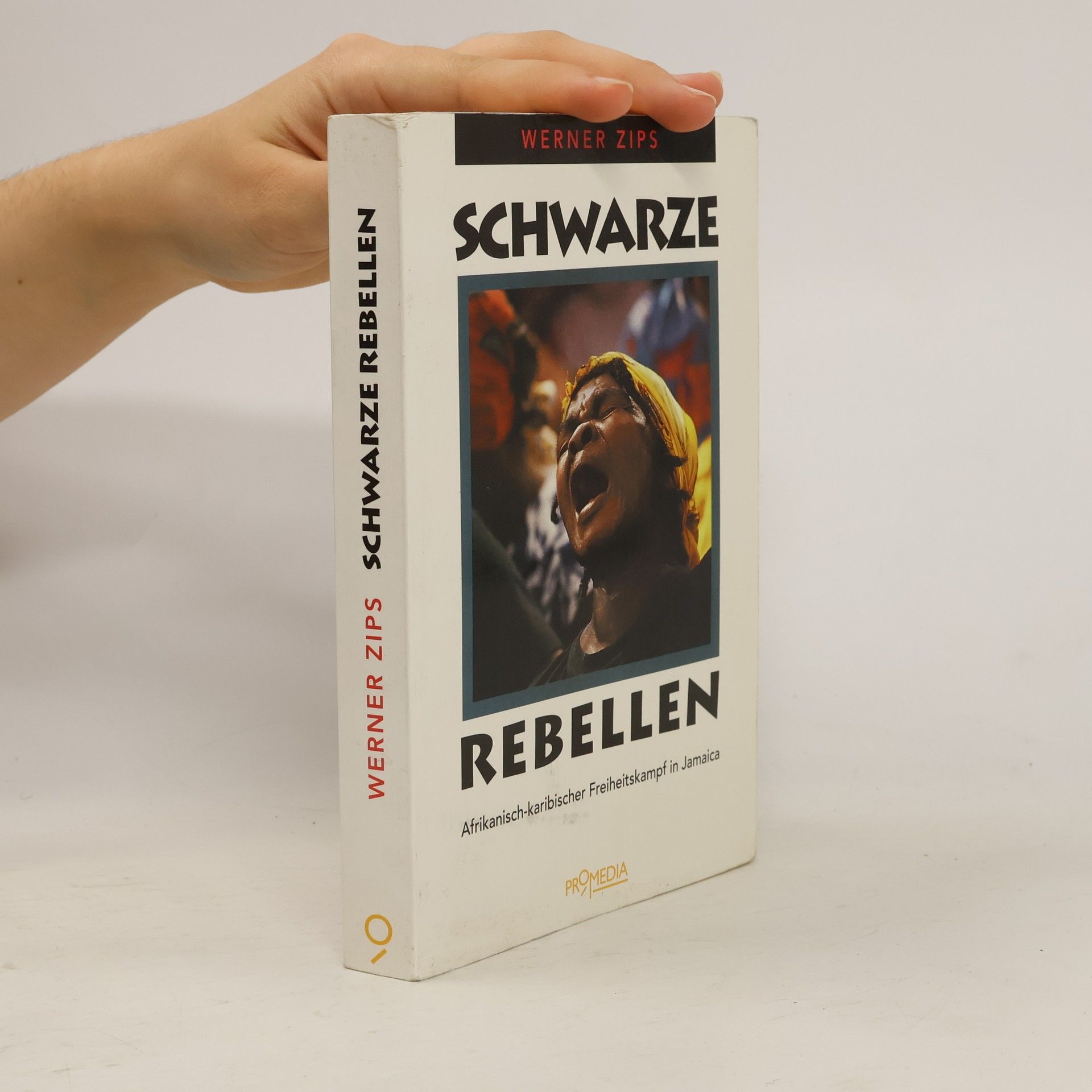 Werner Zips Schwarze Rebellen