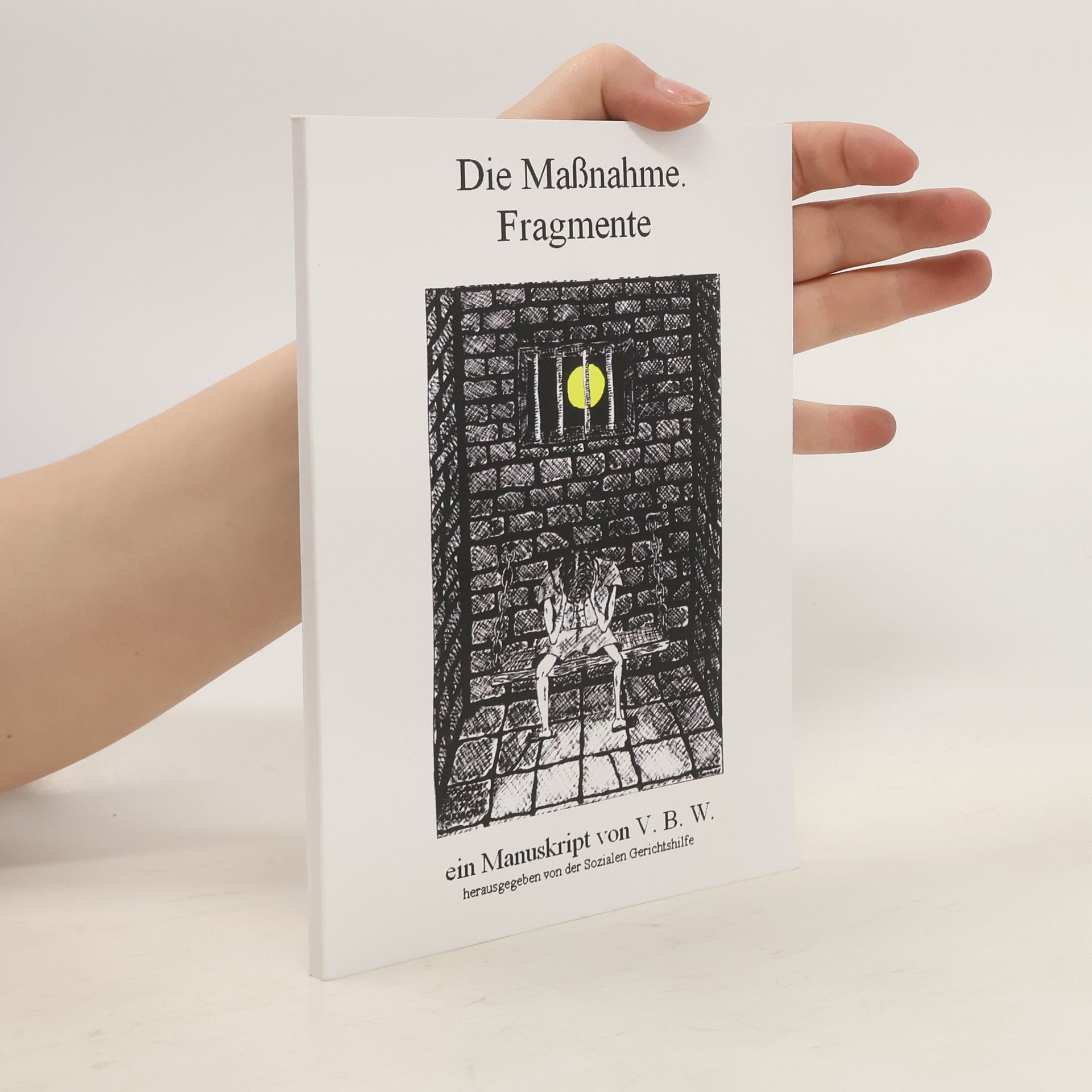 Autorenkollektiv Die Maßnahme. Fragmente