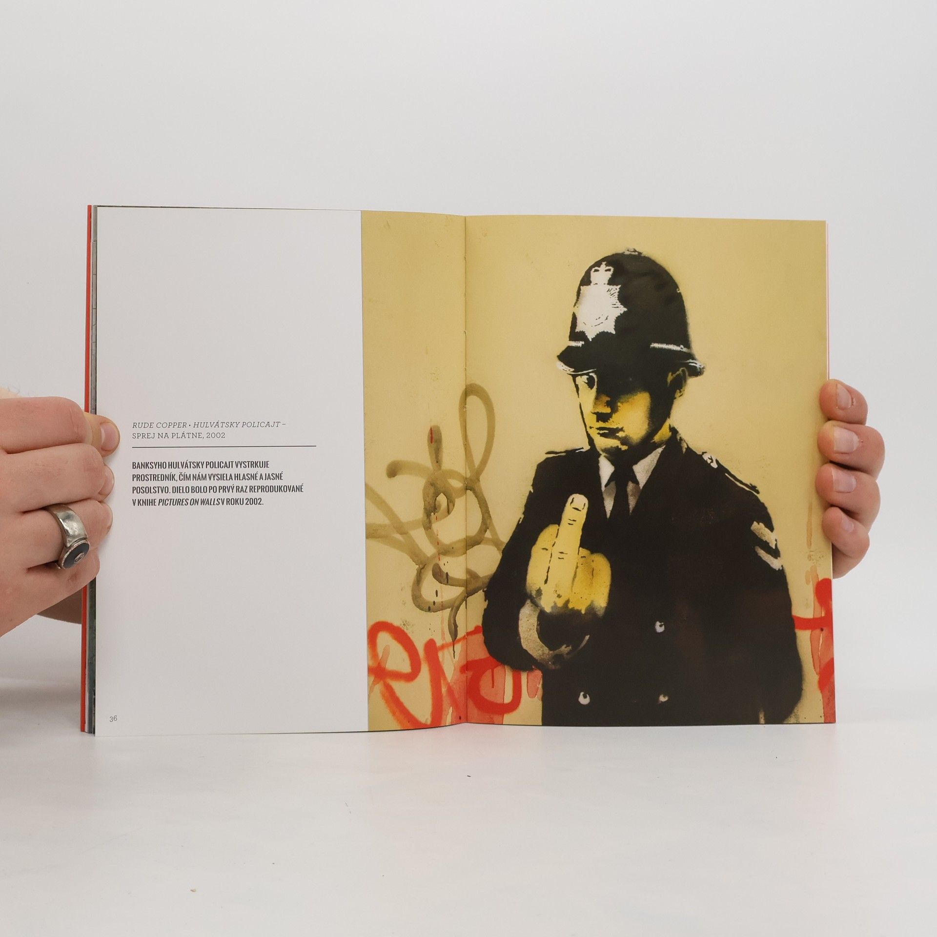 Alessandra Mattanza Banksy 1-3