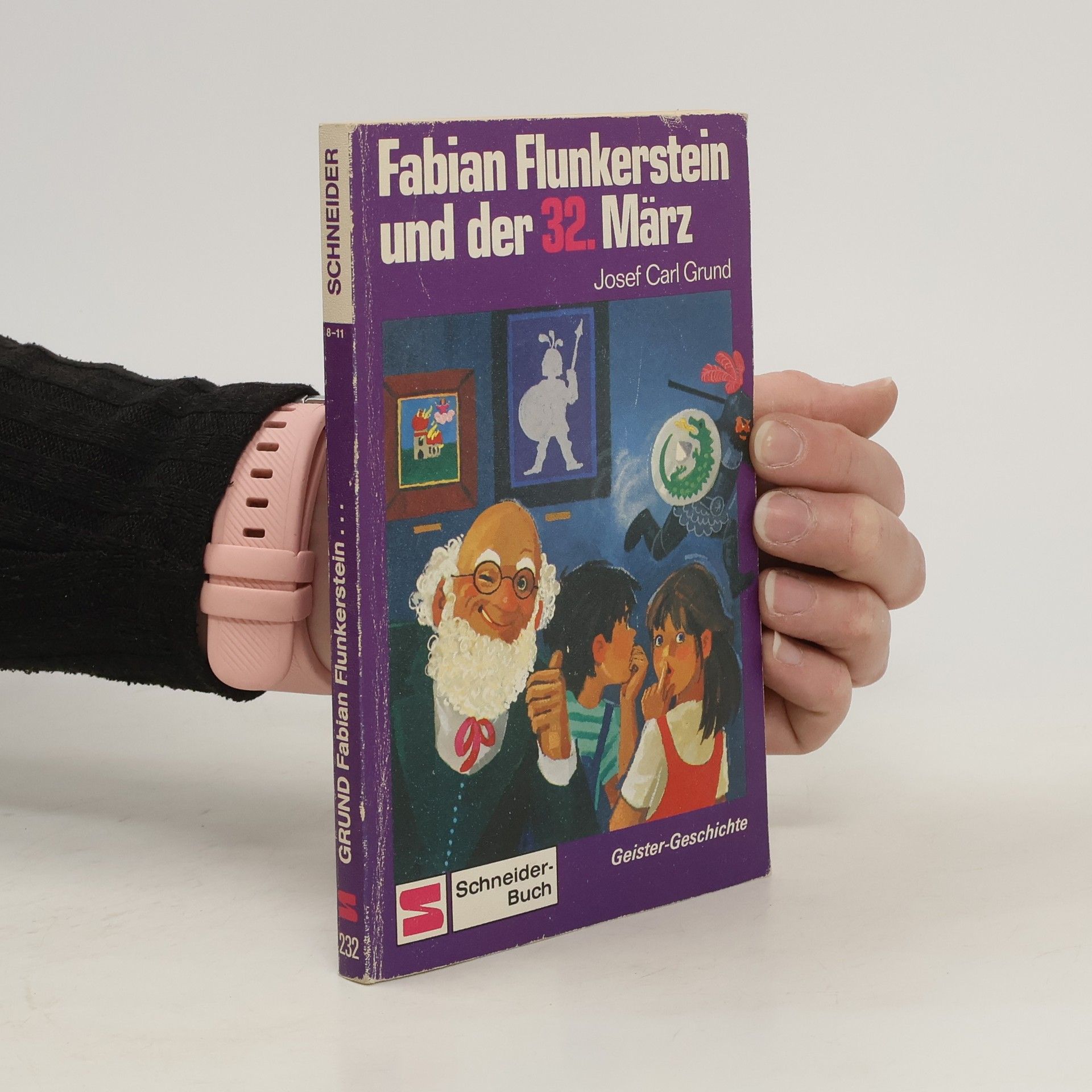 Josef Carl Grund Fabian Flunkerstein und der kleine Clown