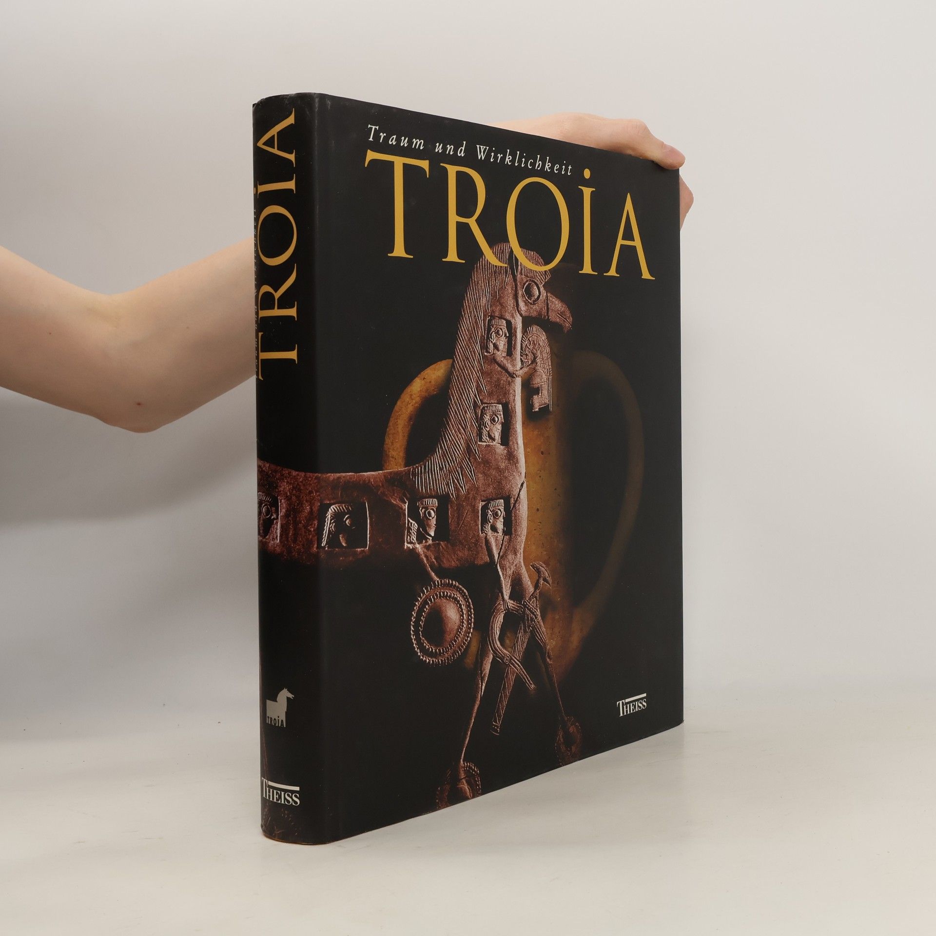 kolektiv Troia : Traum und wirklichkeit