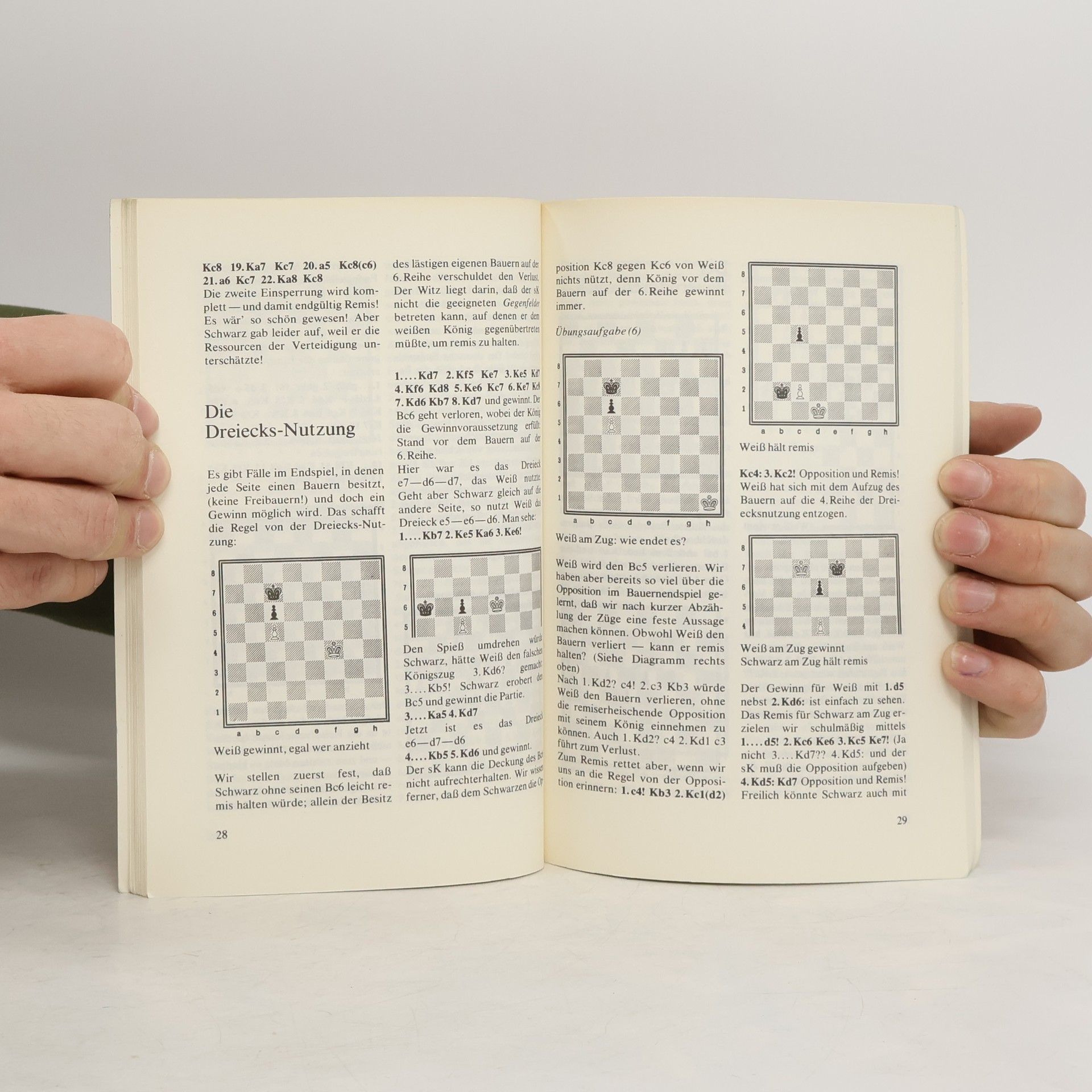 Theo Schuster Das Endspiel im Schach